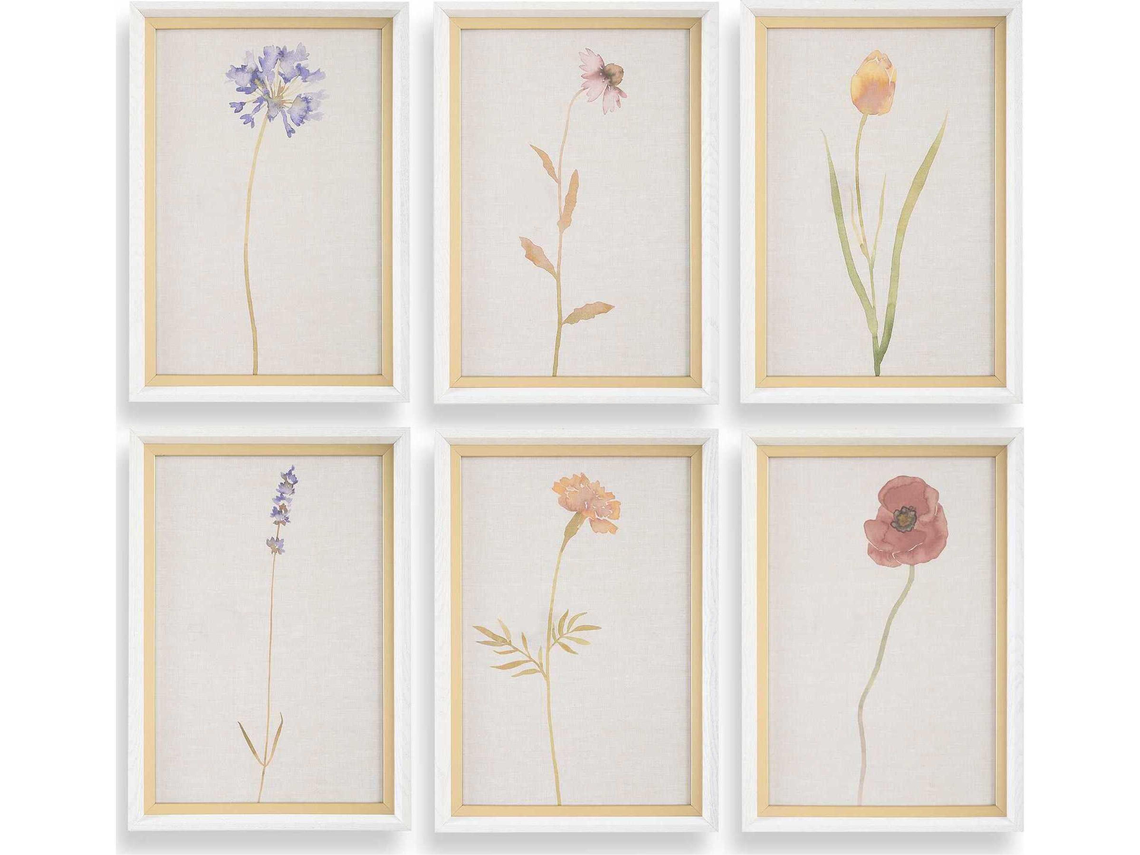 Uttermost Wild Flourish Framed Floral Prints Set of 6