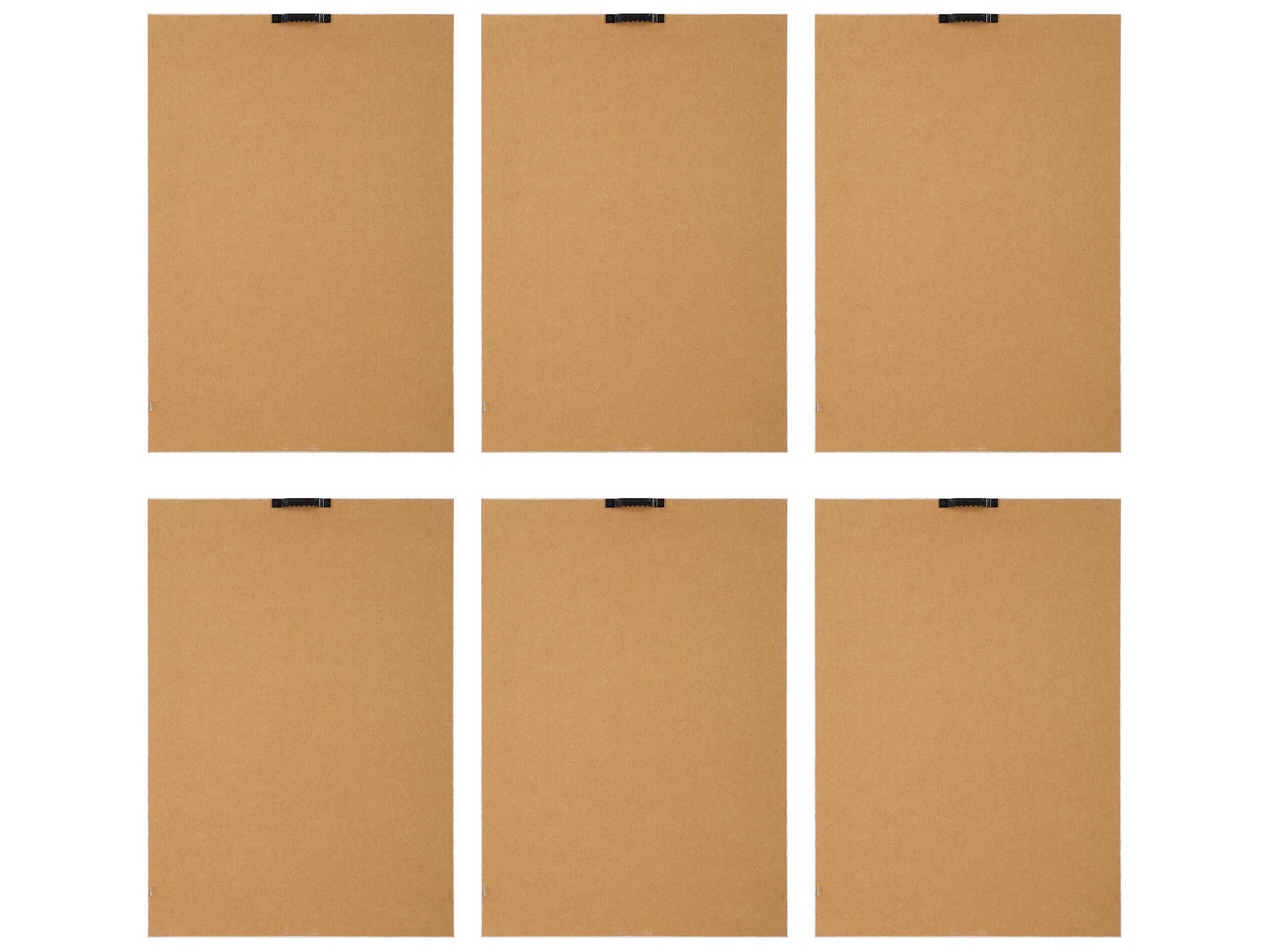 Uttermost Wild Flourish Framed Floral Prints Set of 6