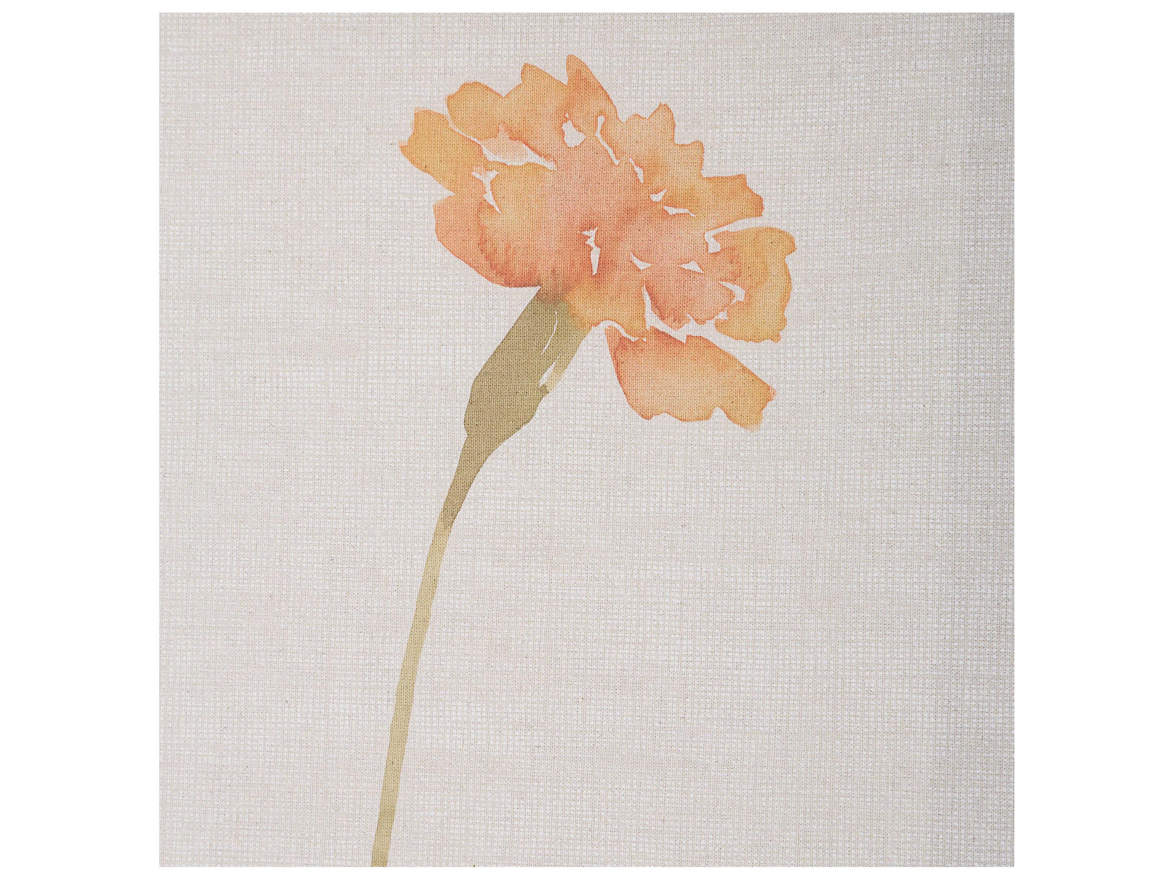 Uttermost Wild Flourish Framed Floral Prints Set of 6