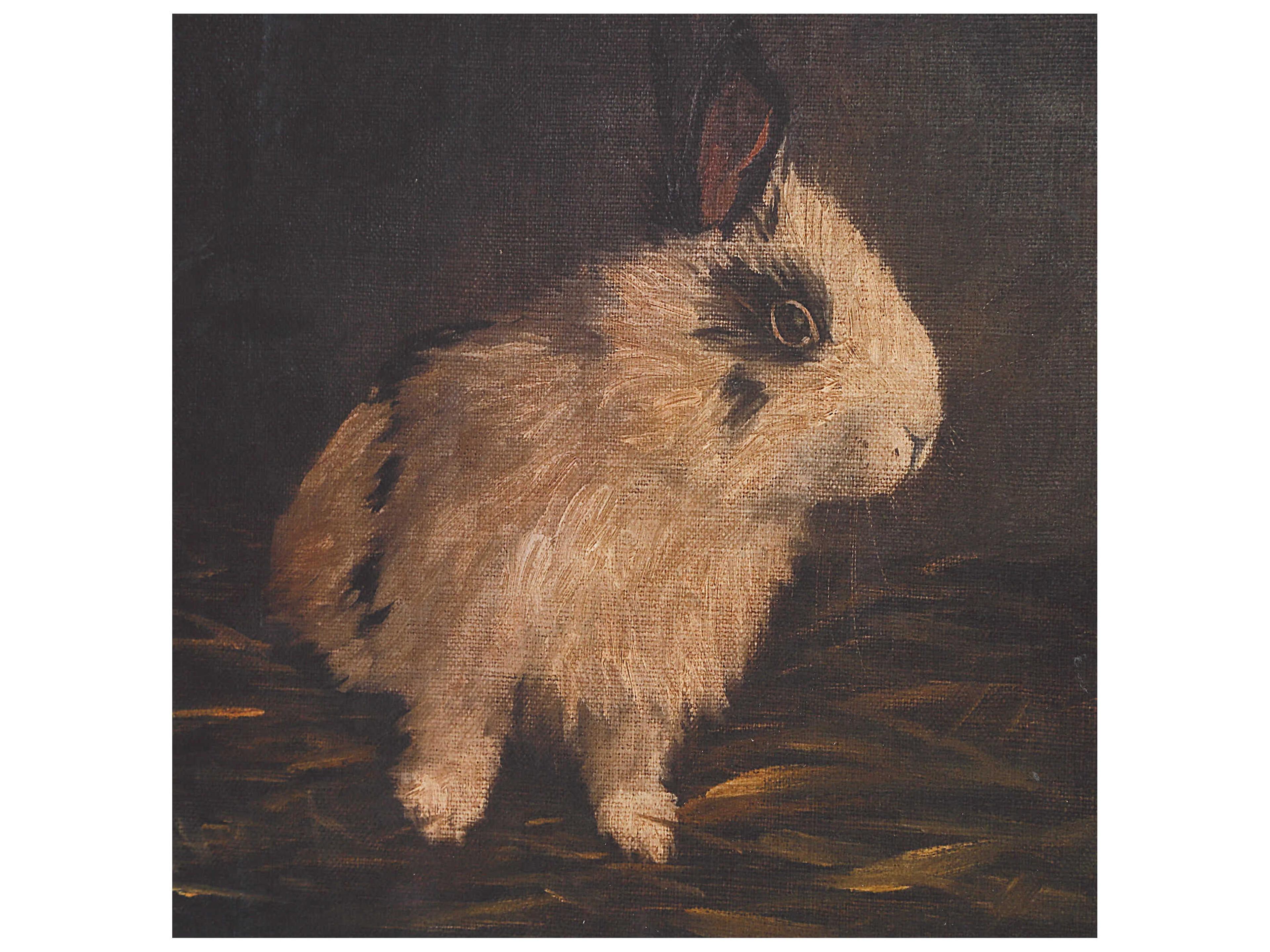 Uttermost Resting Bunny Framed Prints Set of 9