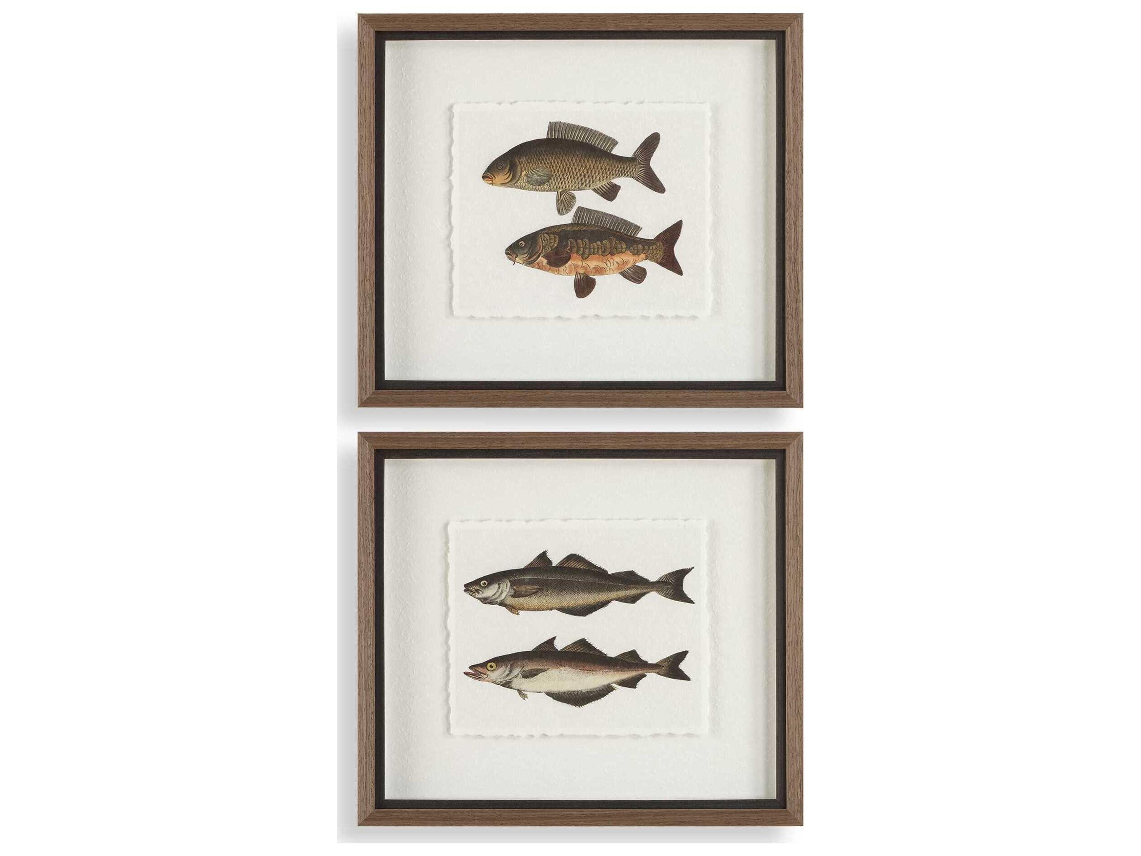 The Catch Framed Fish Prints Set of 2