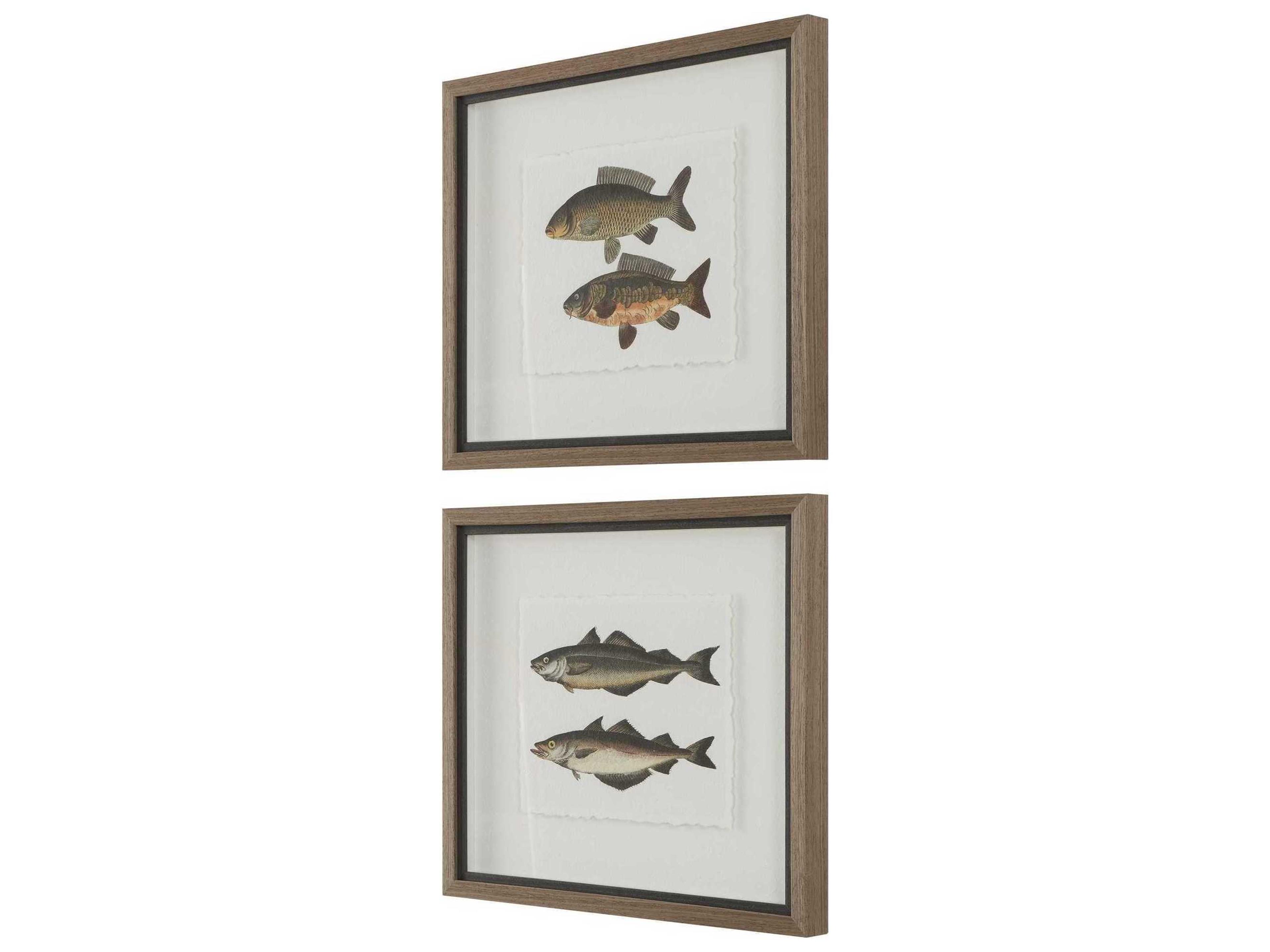 Uttermost The Catch Framed Fish Prints Set of 2