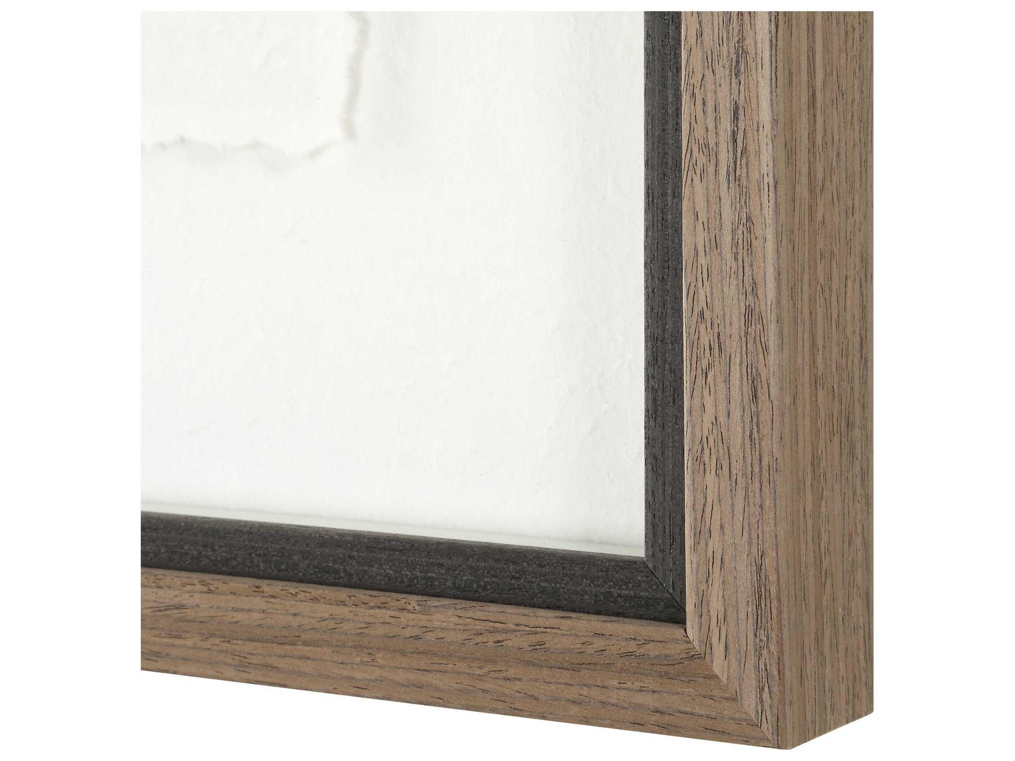 Uttermost The Catch Framed Fish Prints Set of 2