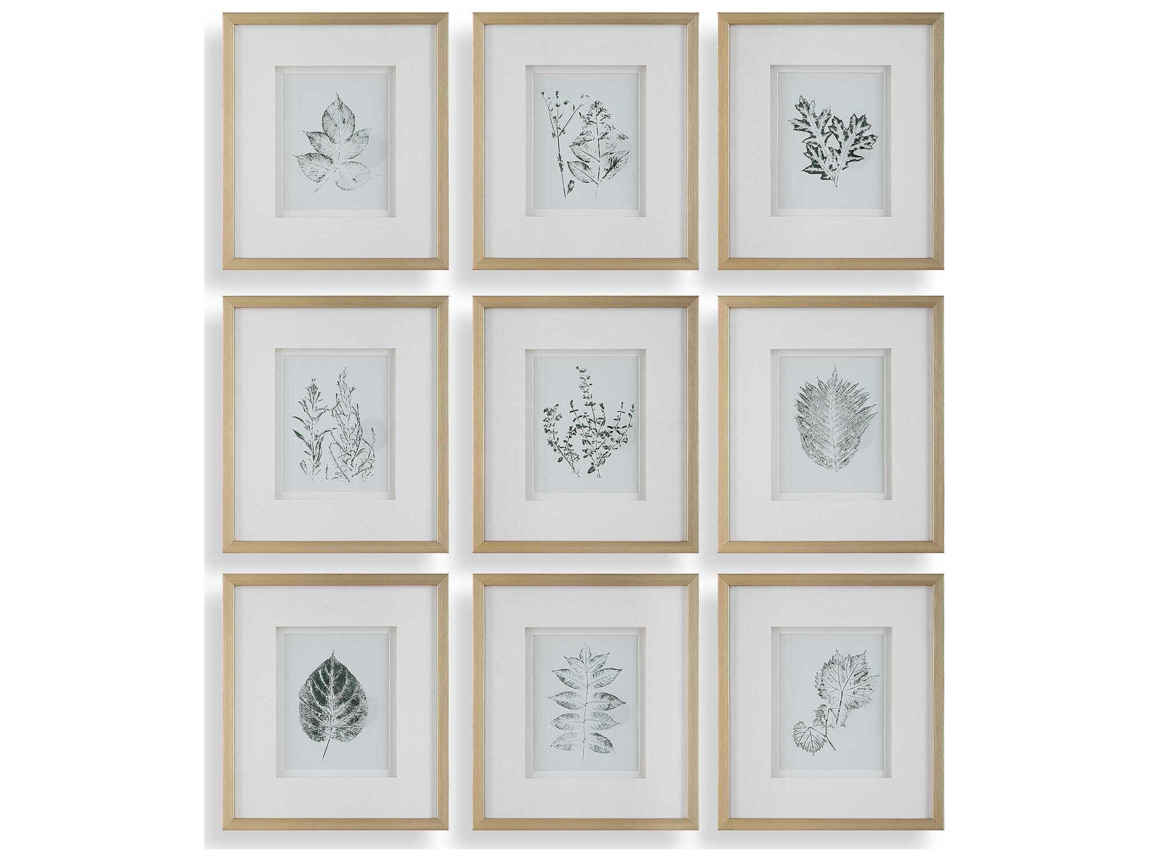 Nature's Script Framed Botanical Prints Set of 9
