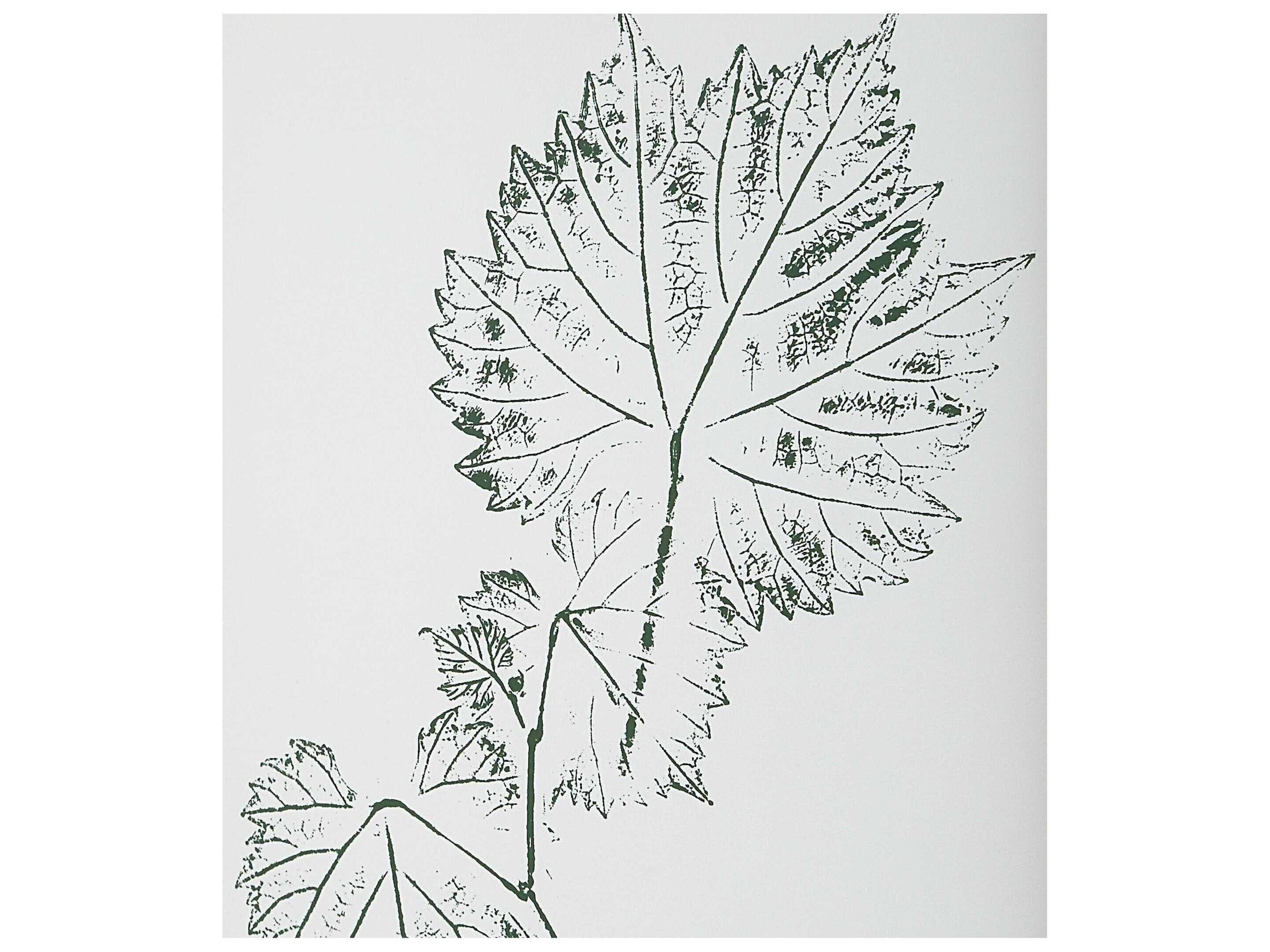 Uttermost Nature's Script Framed Botanical Prints Set of 9