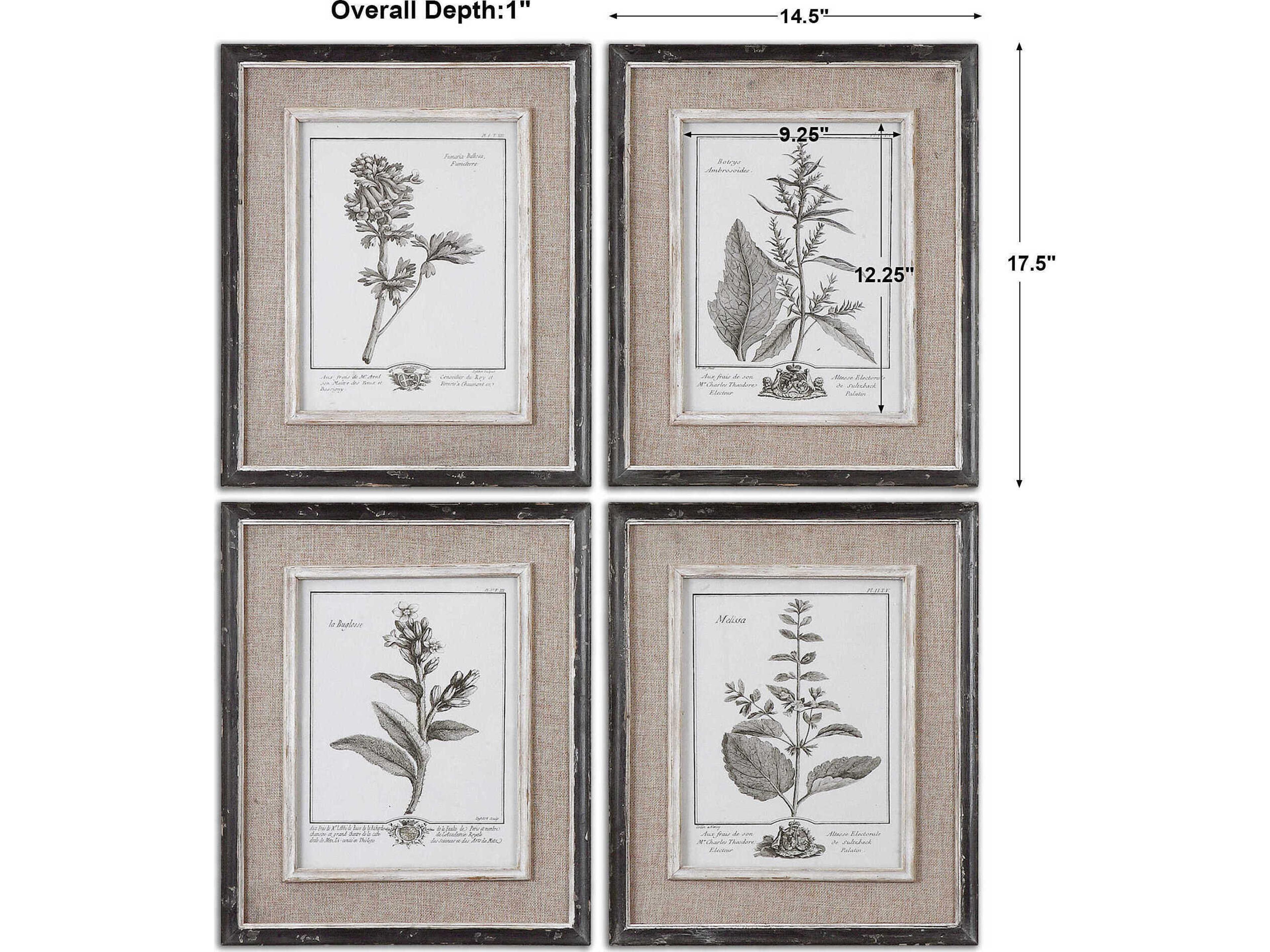 Uttermost Casual Grey Study Framed Wall Art Set of 4