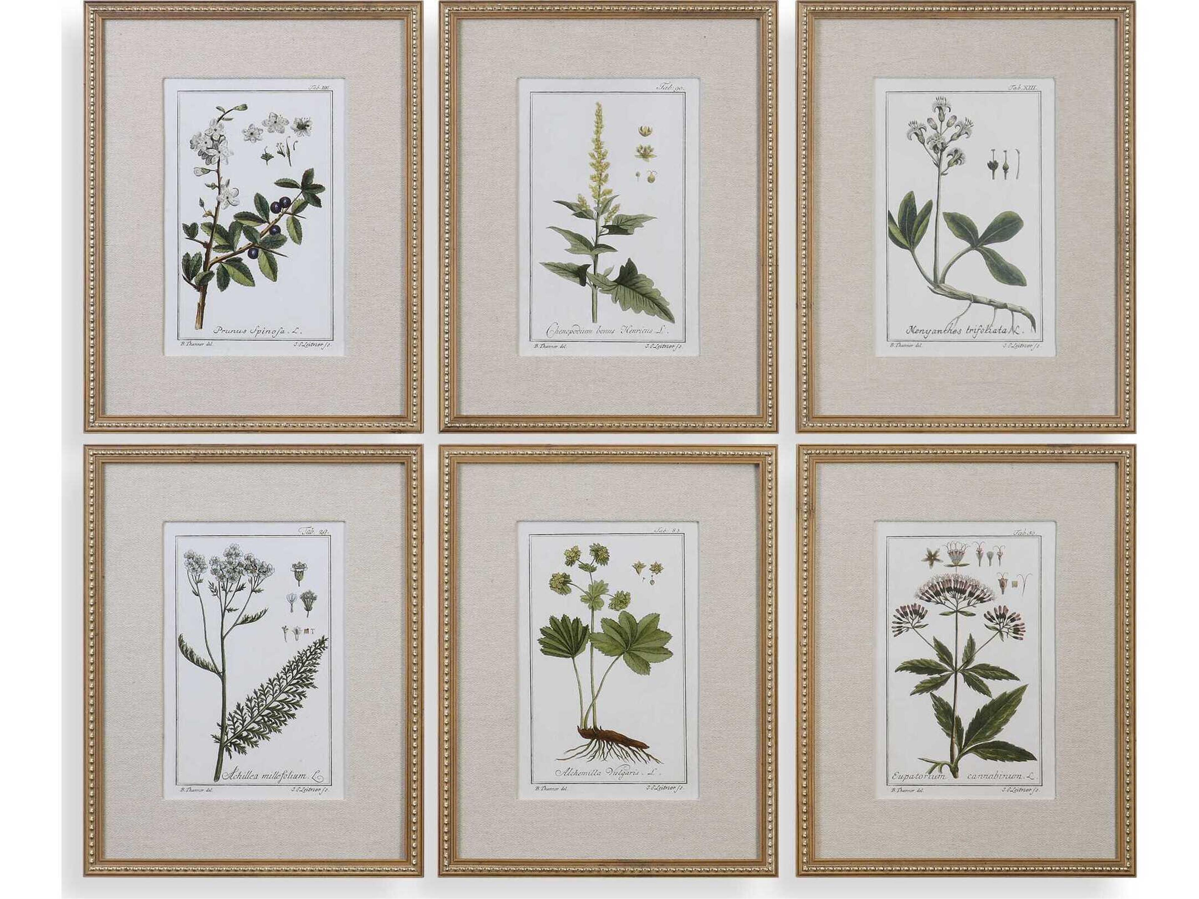 Grace Feyock Green Floral Botanical Study Prints Set of 6