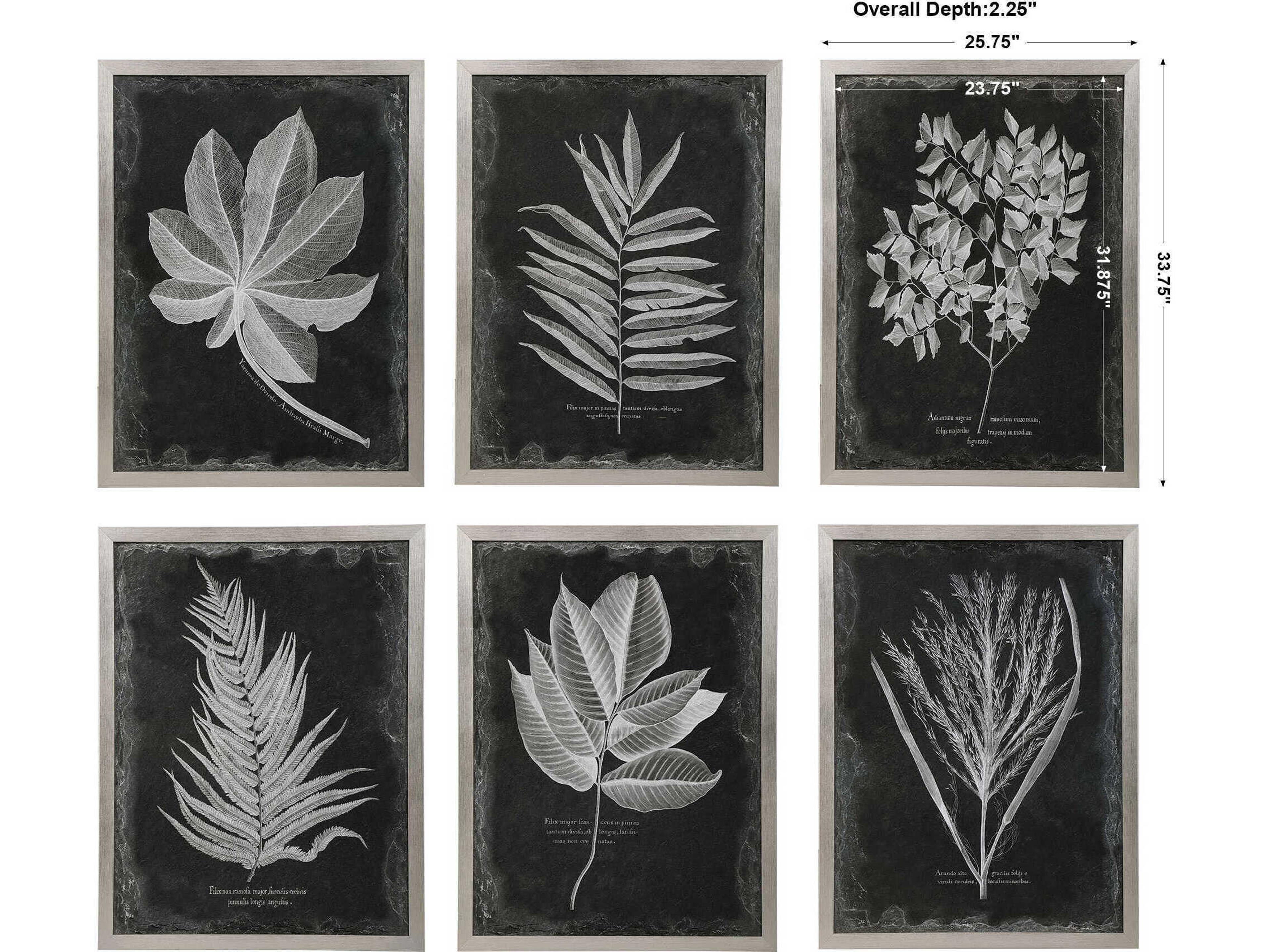 Uttermost Foliage Framed Prints Set of 6