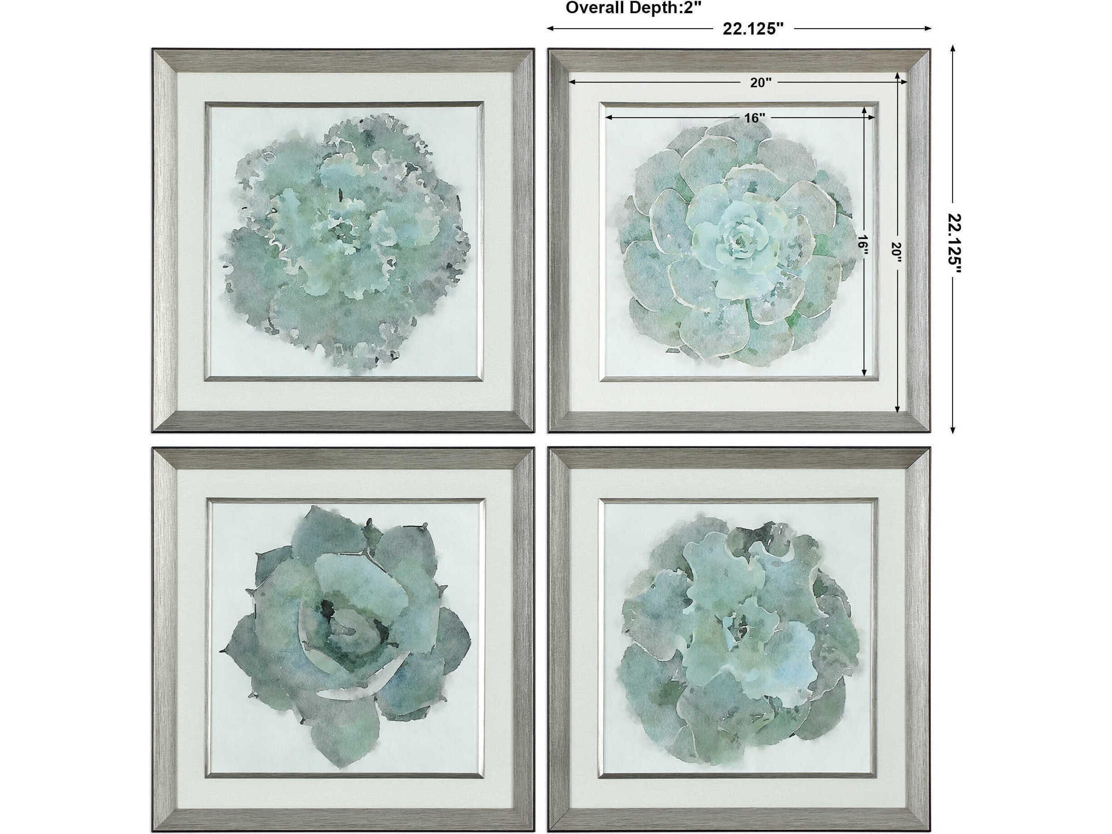 Uttermost Natural Beauties Wall Art Set of 4