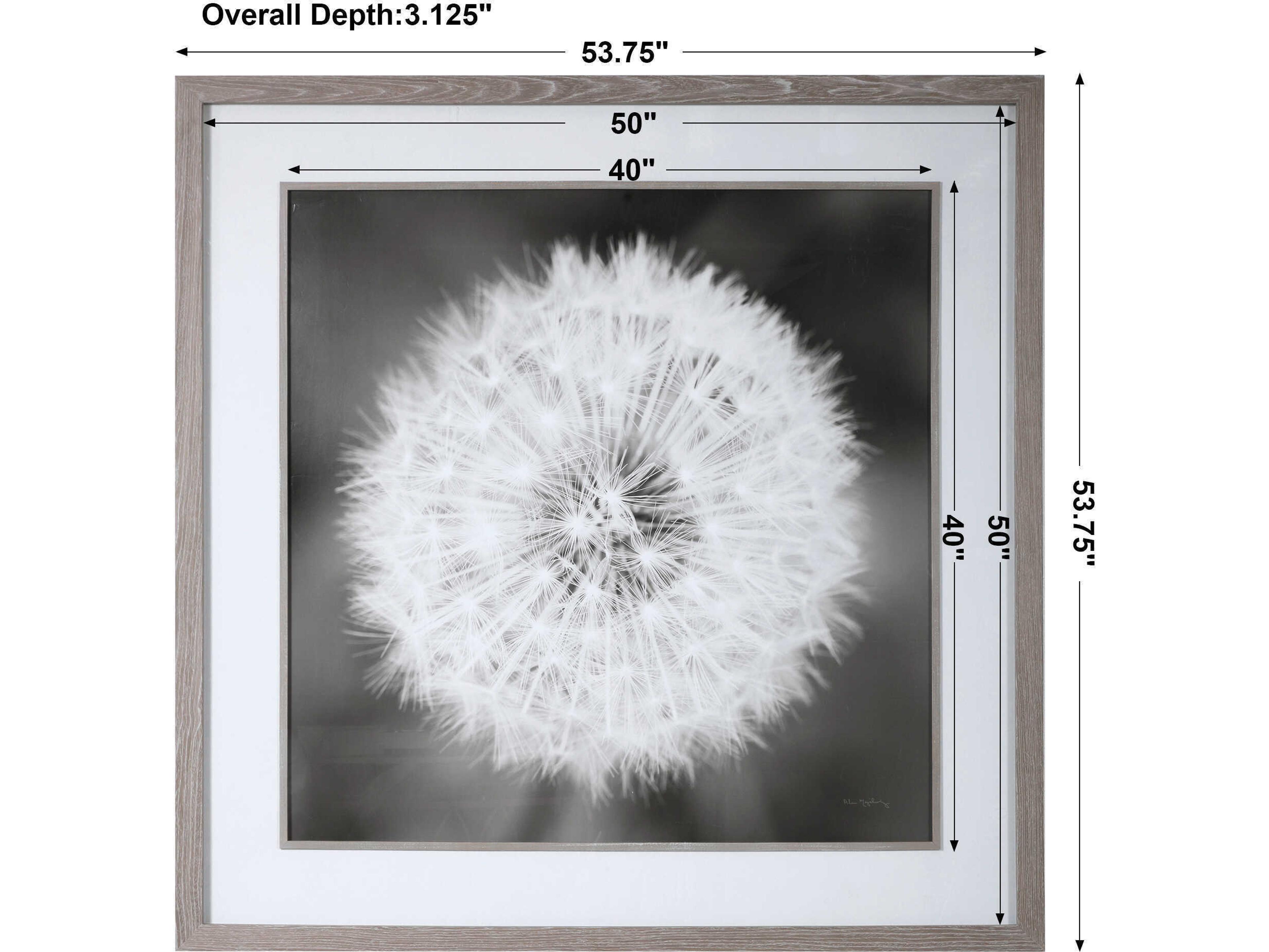 Uttermost Dandelion Seedhead Canvas Wall Art