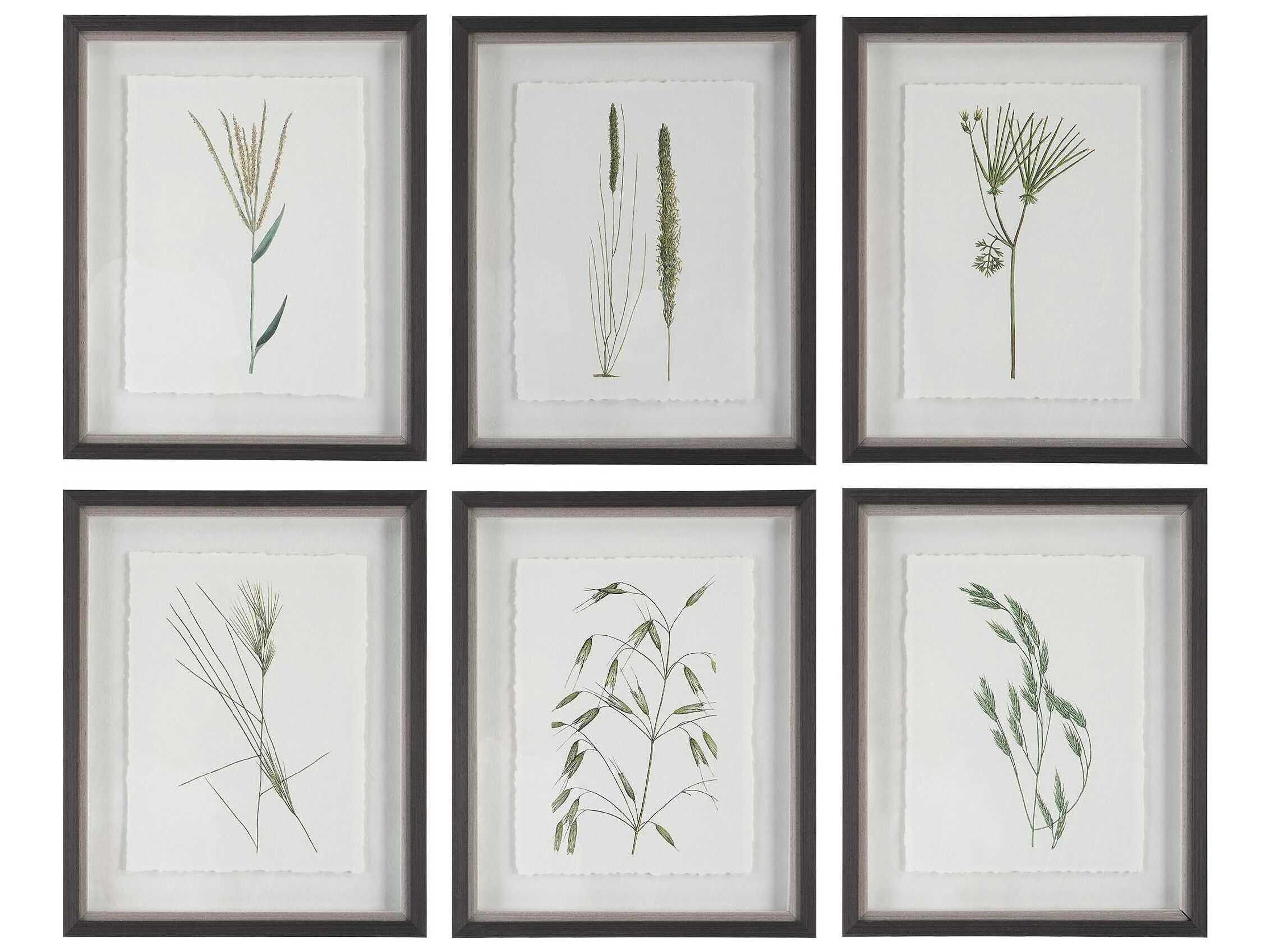 Uttermost Forest Finds Framed Print / Painting Set of 6