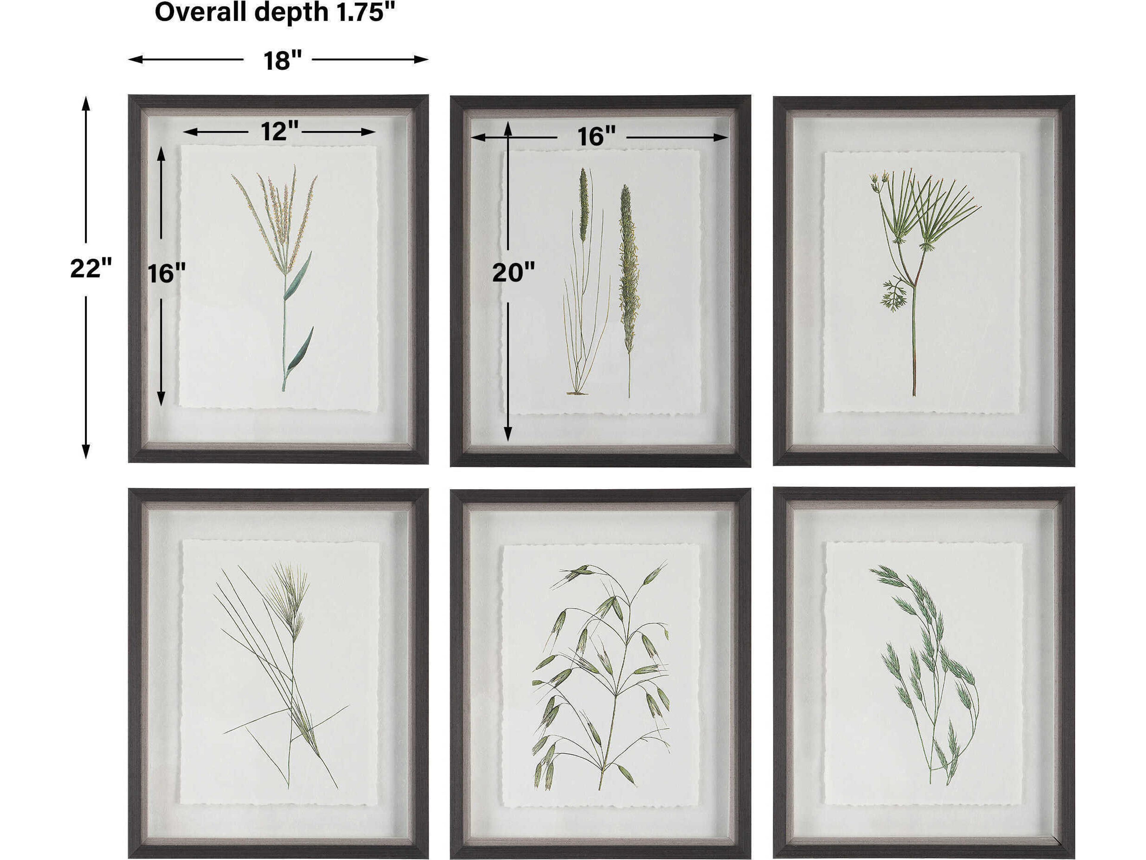 Uttermost Forest Finds Framed Print / Painting Set of 6