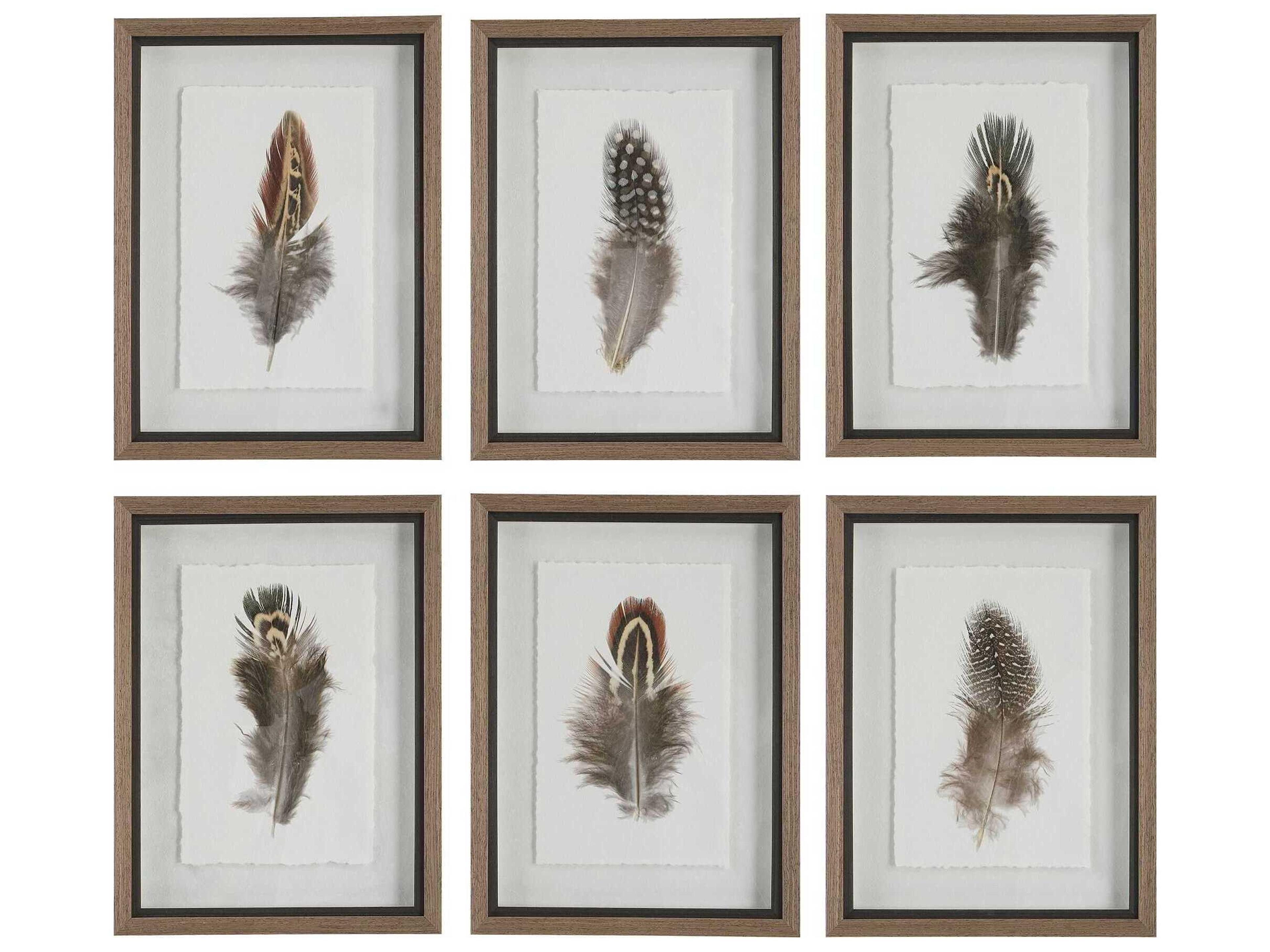 Uttermost Birds Of A Feather Framed Print / Painting Set of 6