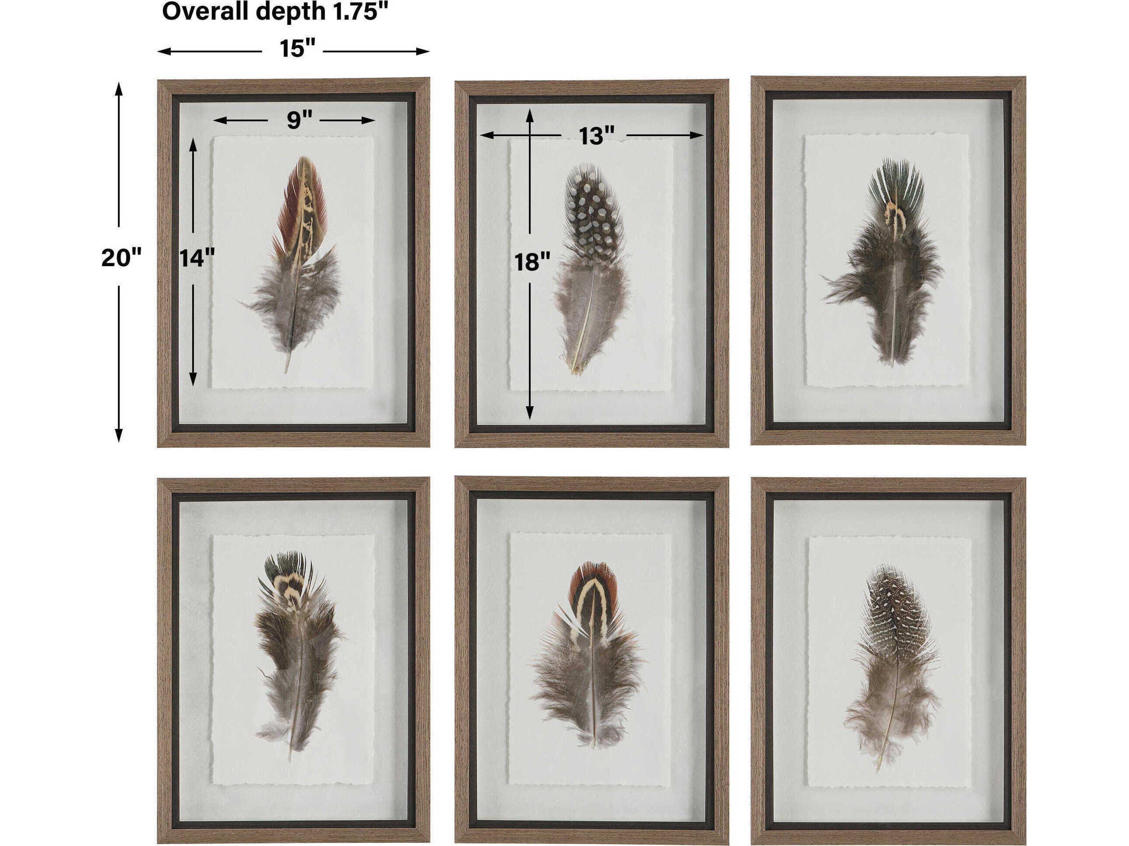 Uttermost Birds Of A Feather Framed Print / Painting Set of 6
