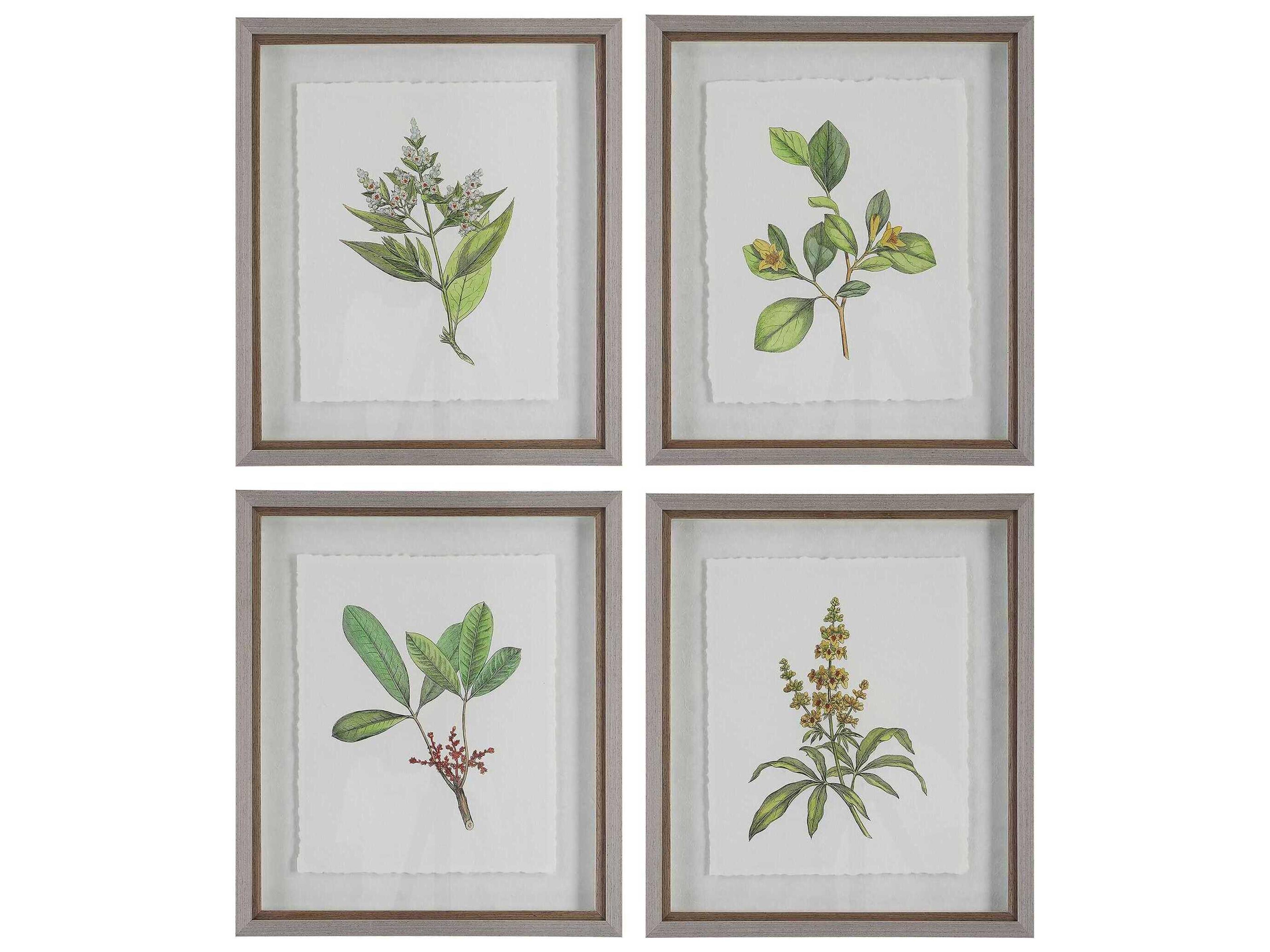Wildflower Study Framed Print / Painting Set of 4