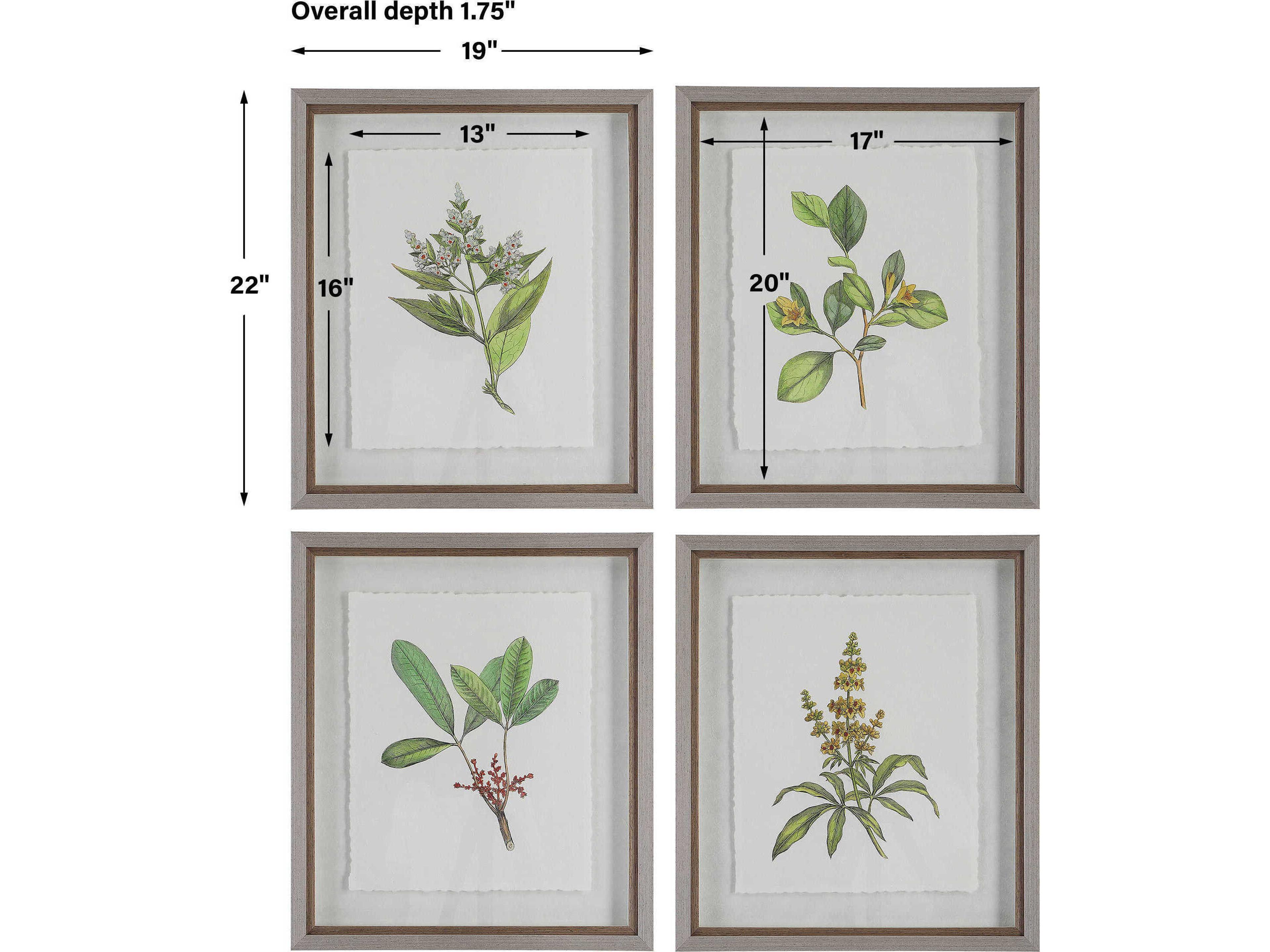 Uttermost Wildflower Study Framed Print / Painting Set of 4