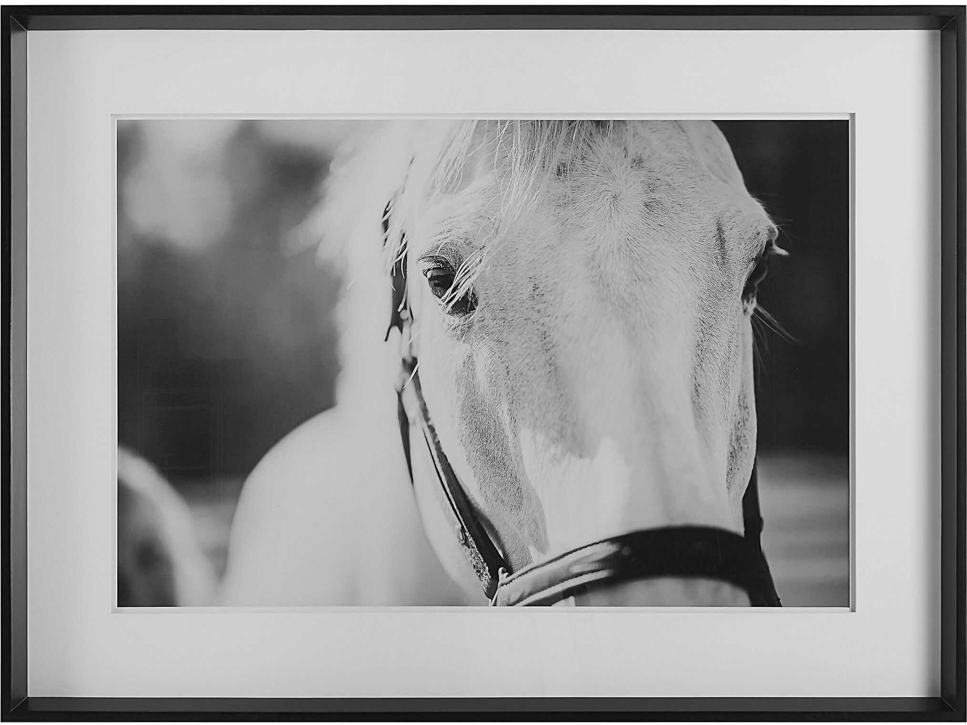 Uttermost Eyes On The Prize Framed Print