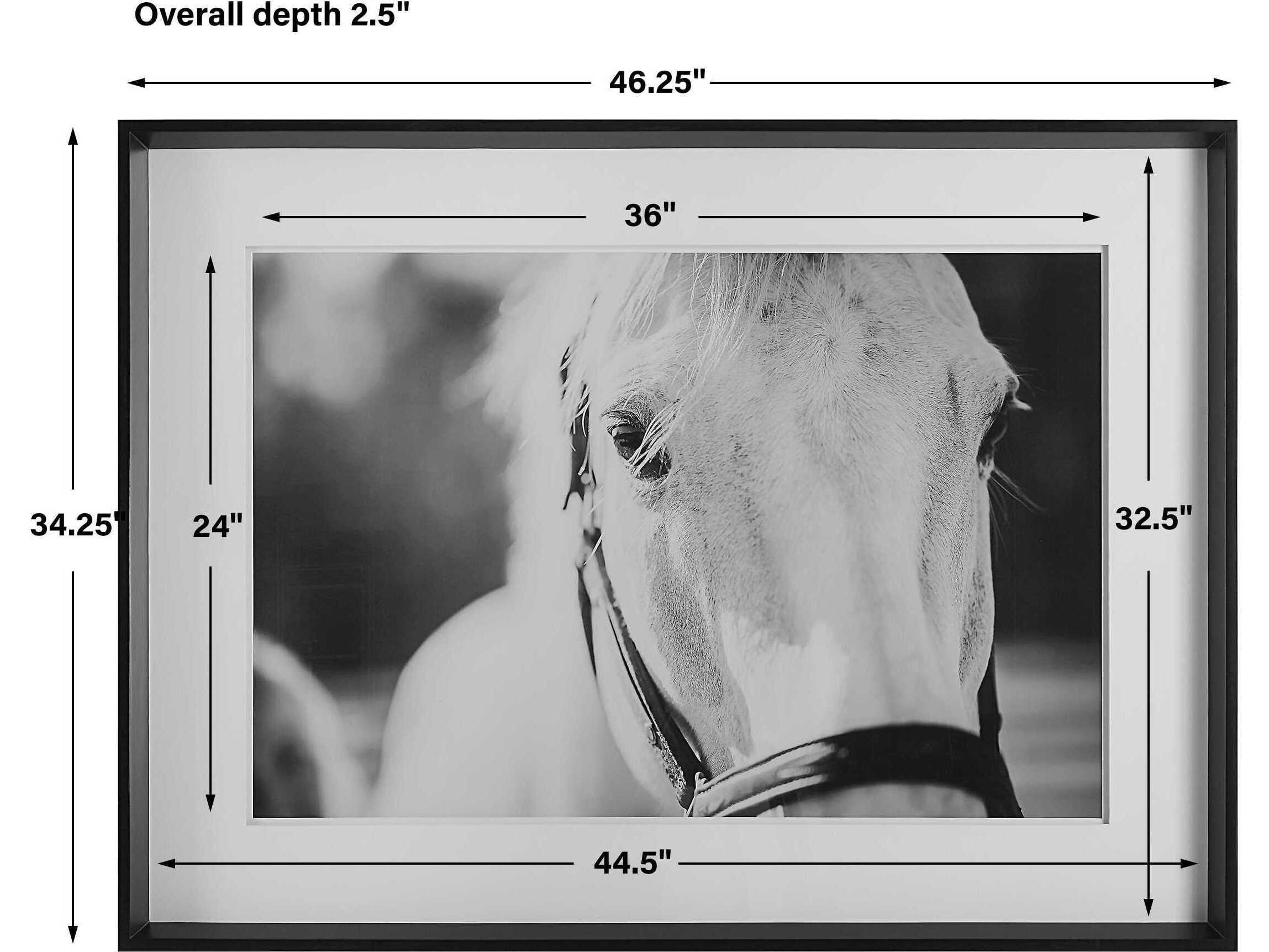 Uttermost Eyes On The Prize Framed Print