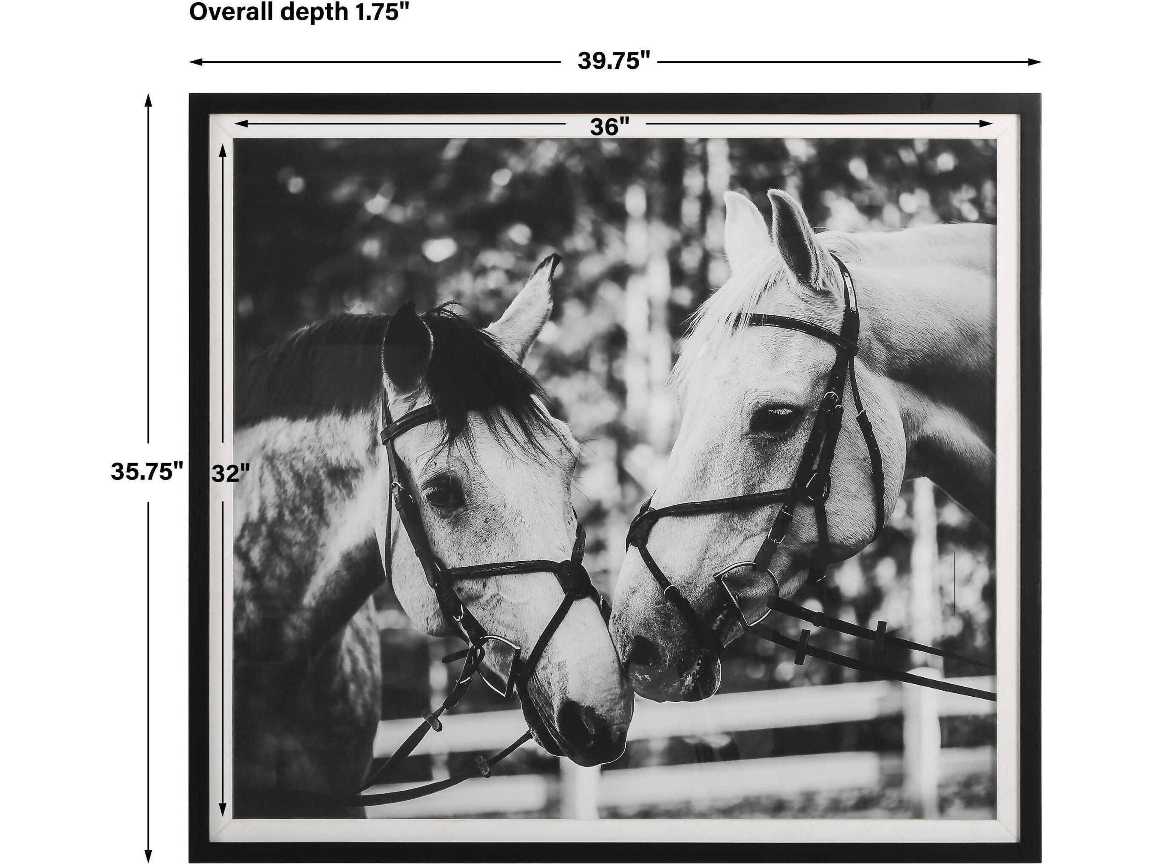 Uttermost Apple Of My Eye Framed Print