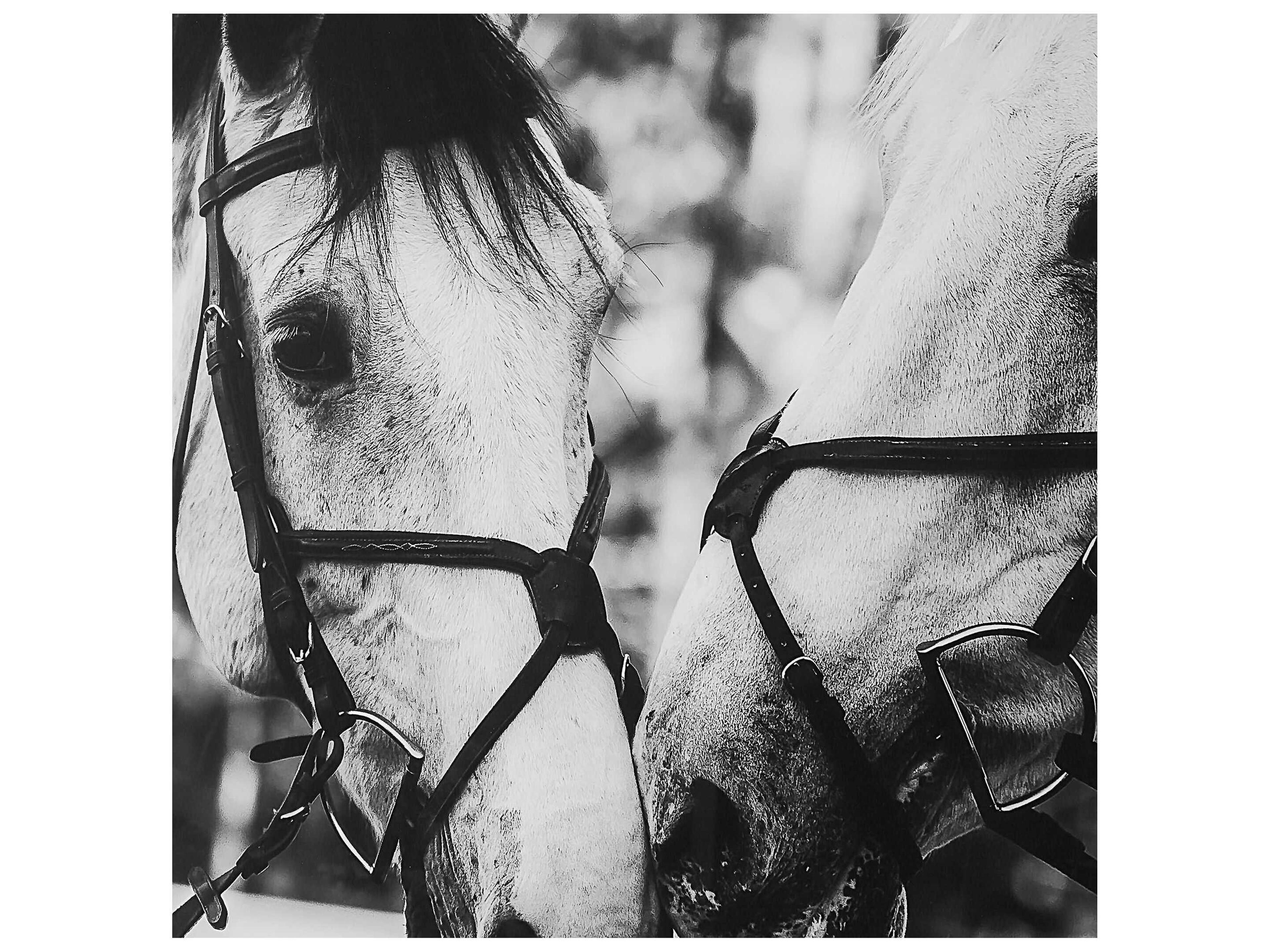 Uttermost Apple Of My Eye Framed Print