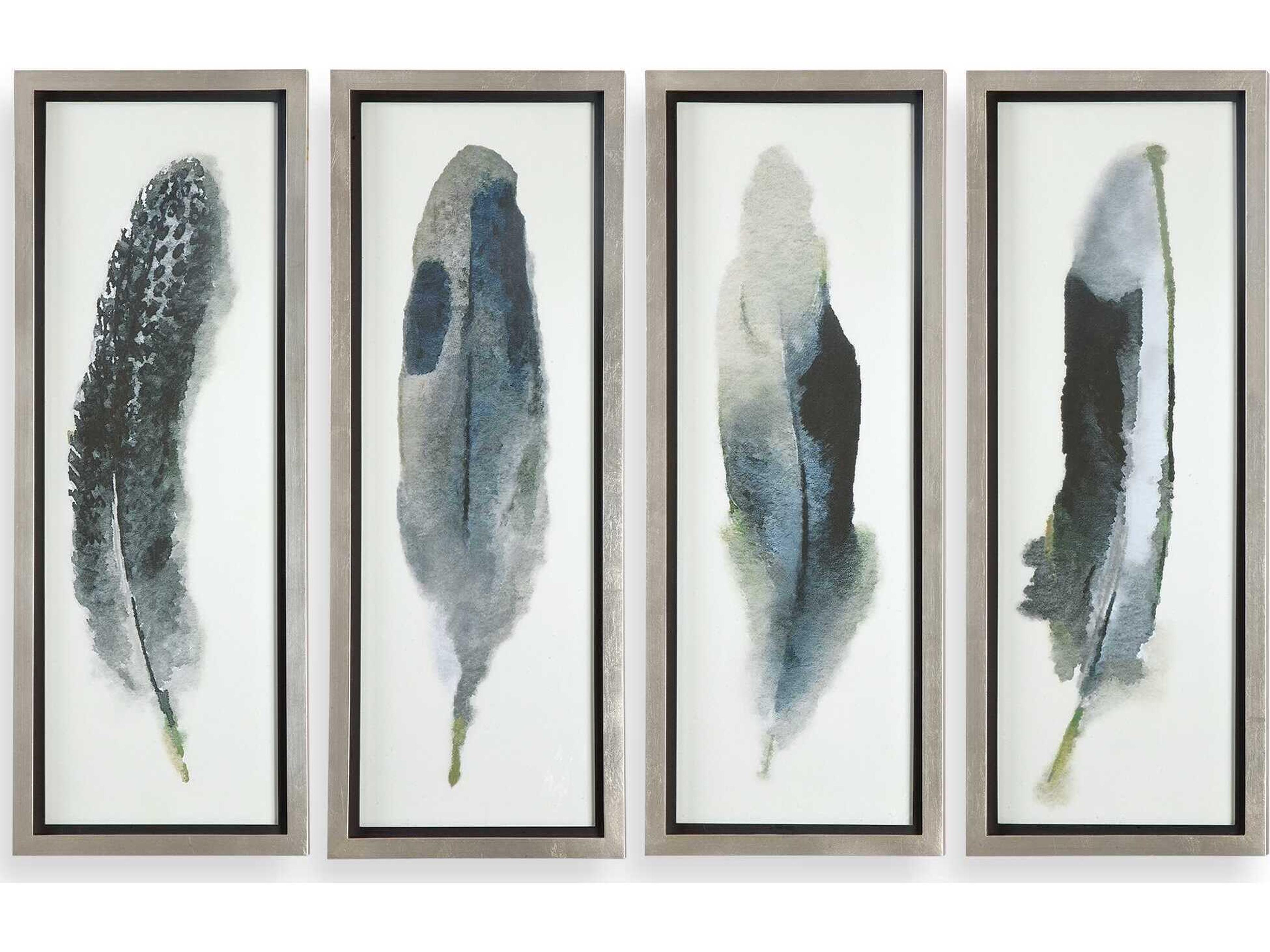 Feathered Beauty Prints Set of 4