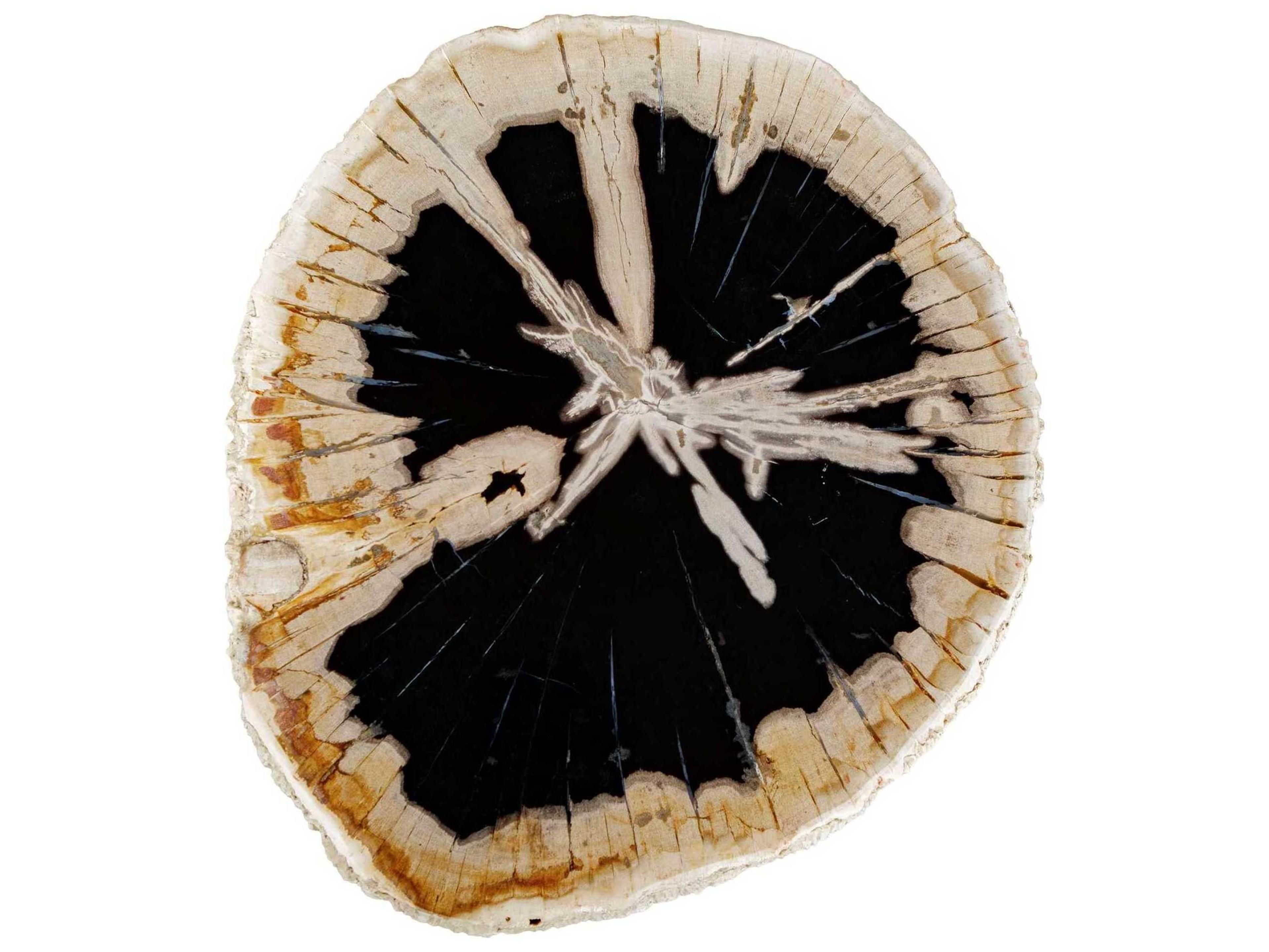 Uttermost Arco Round Wood End Table