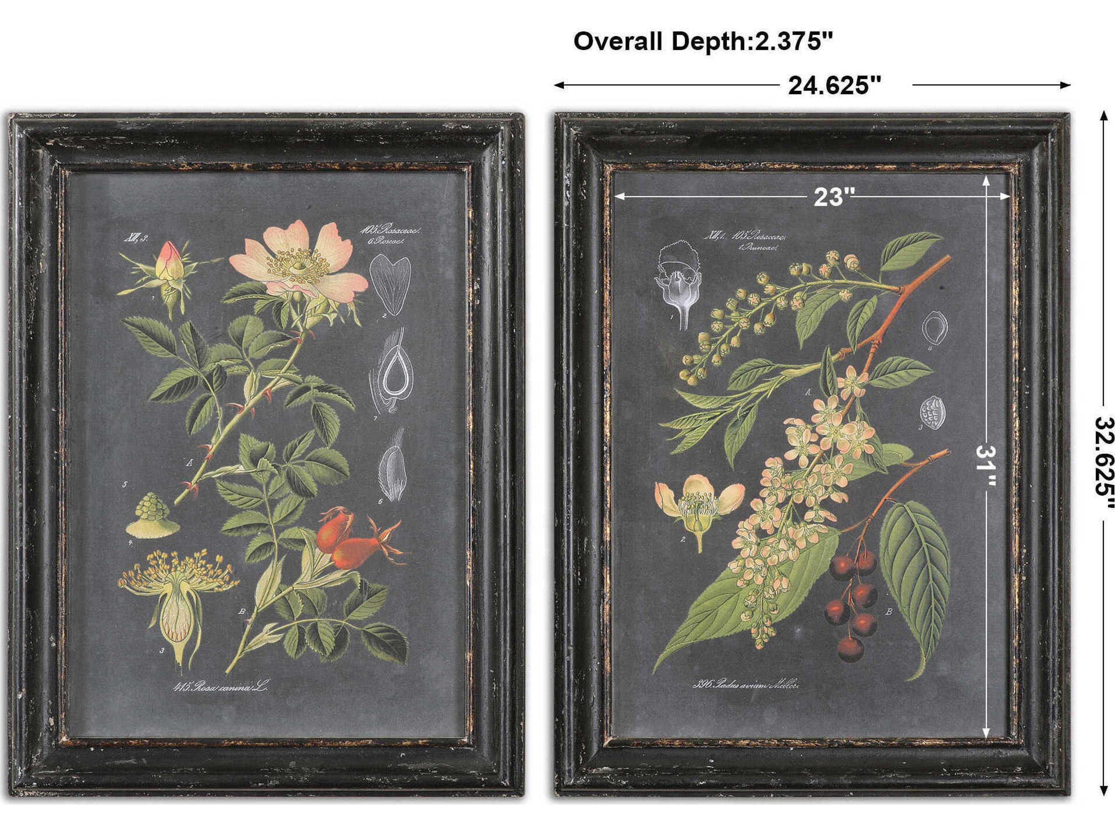 Uttermost Midnight Botanicals Wall Art Set of 2