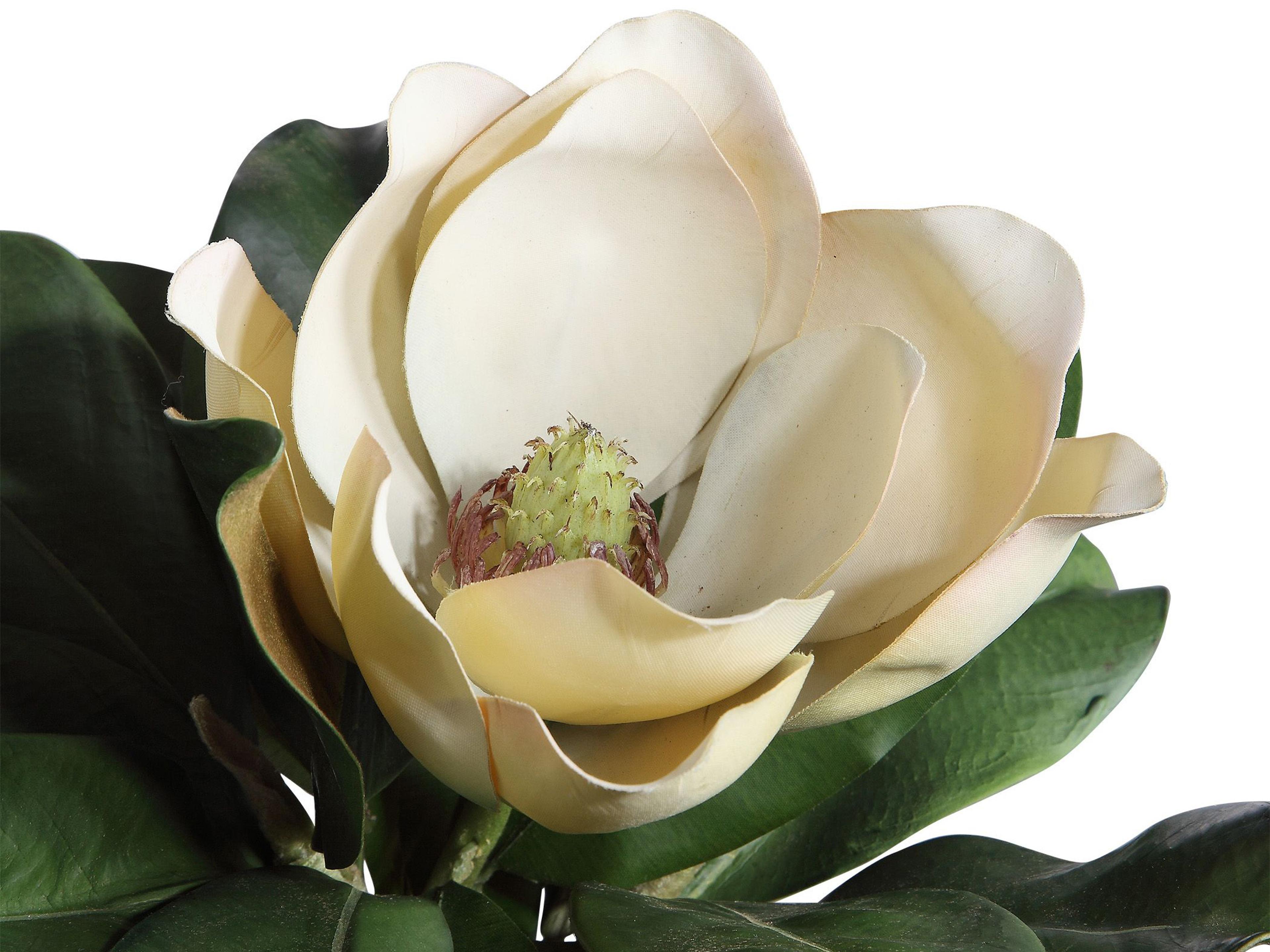 Uttermost Celia Decorative Accent