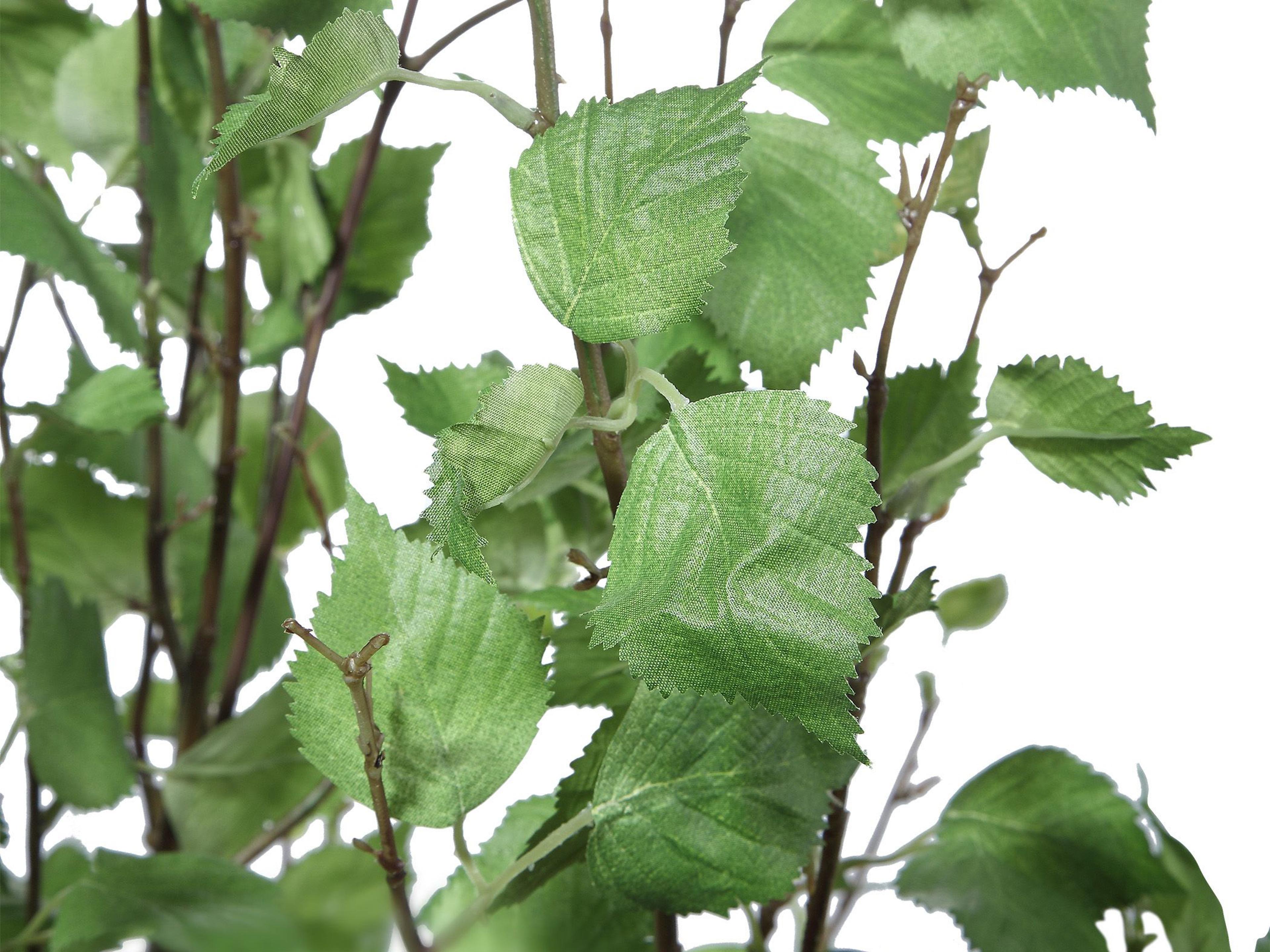 Uttermost Aldis Decorative Accent