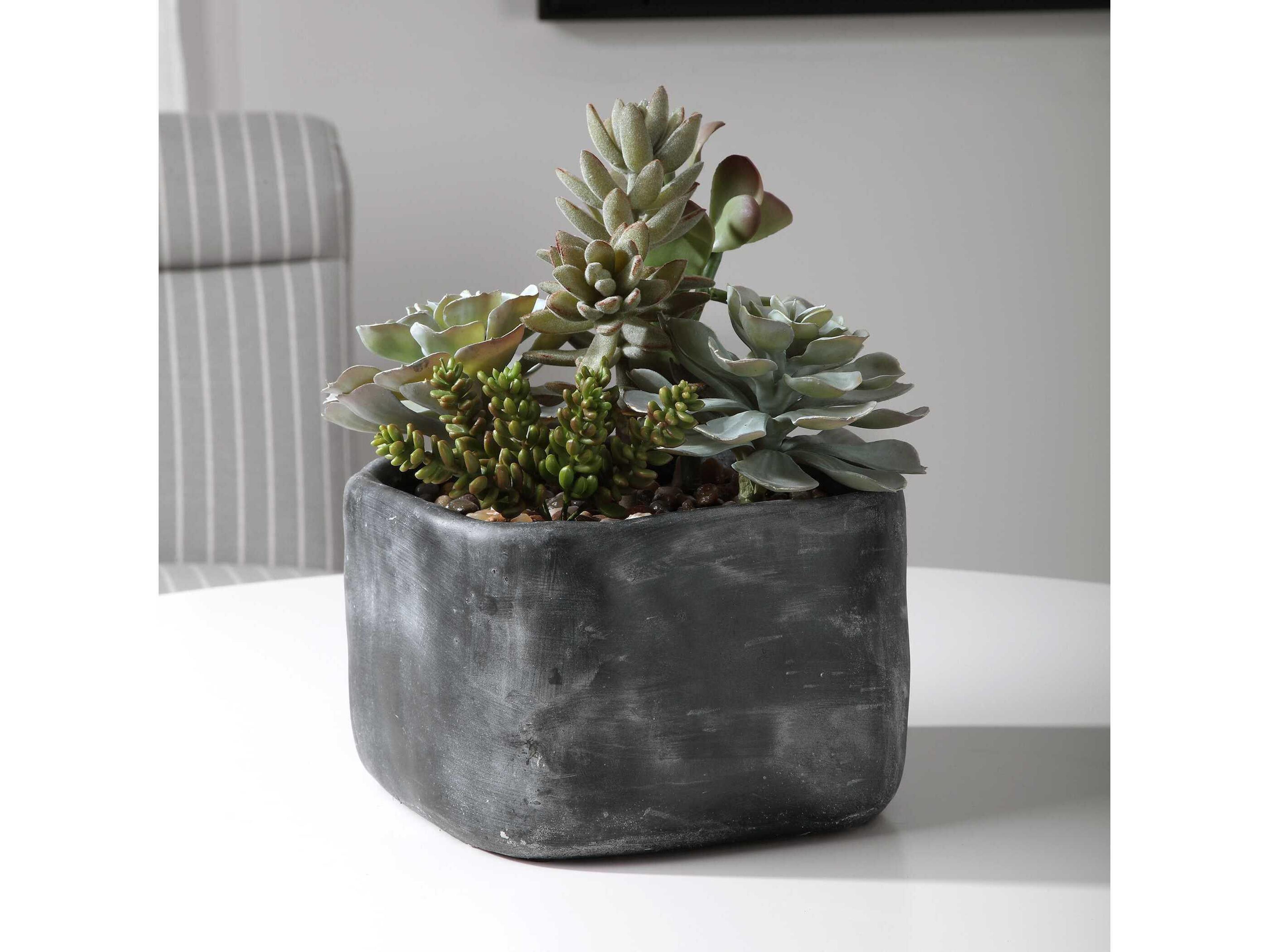 Uttermost Alverio Charcoal Gray Desert Garden Succulents
