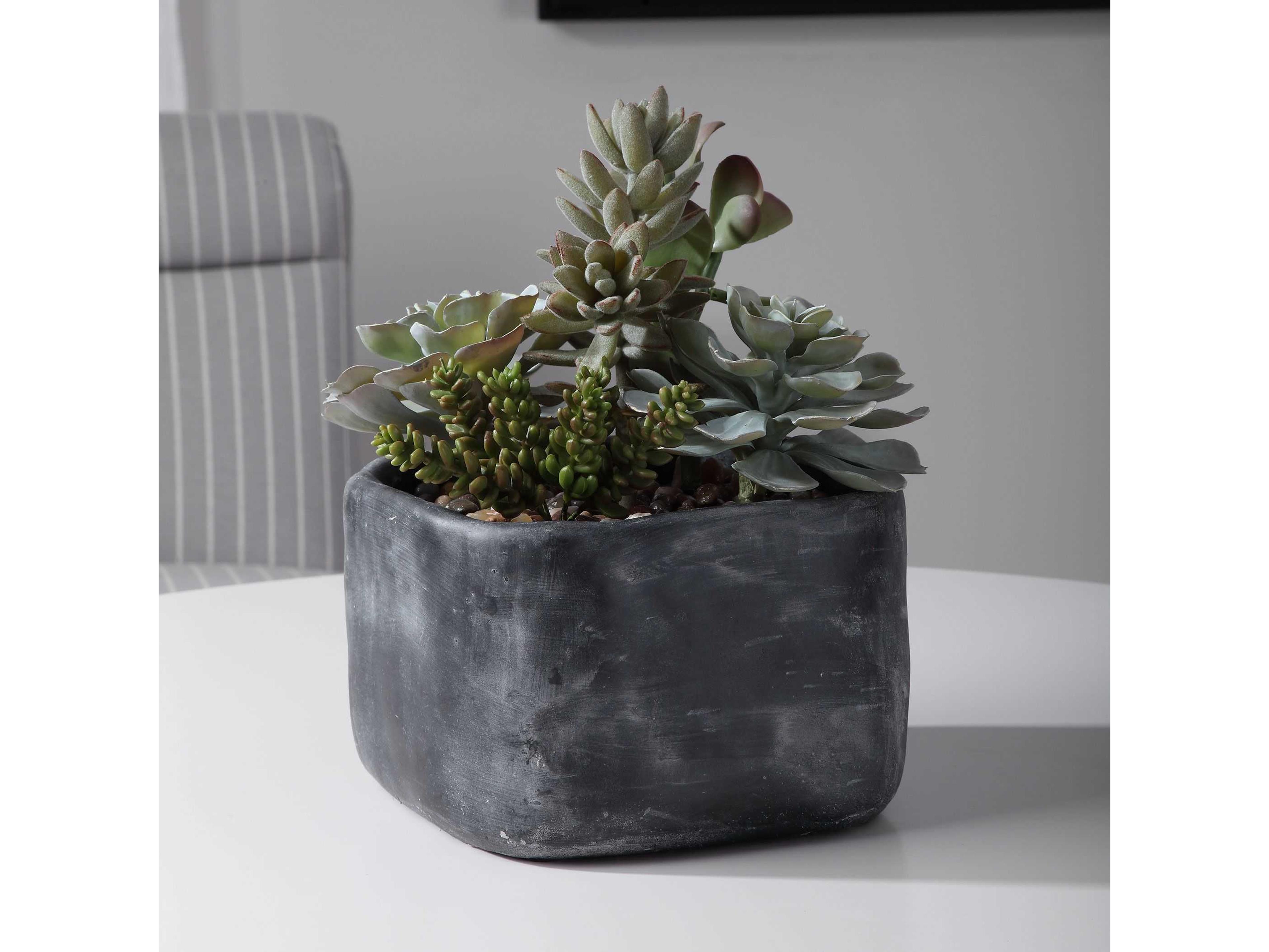 Uttermost Alverio Charcoal Gray Desert Garden Succulents
