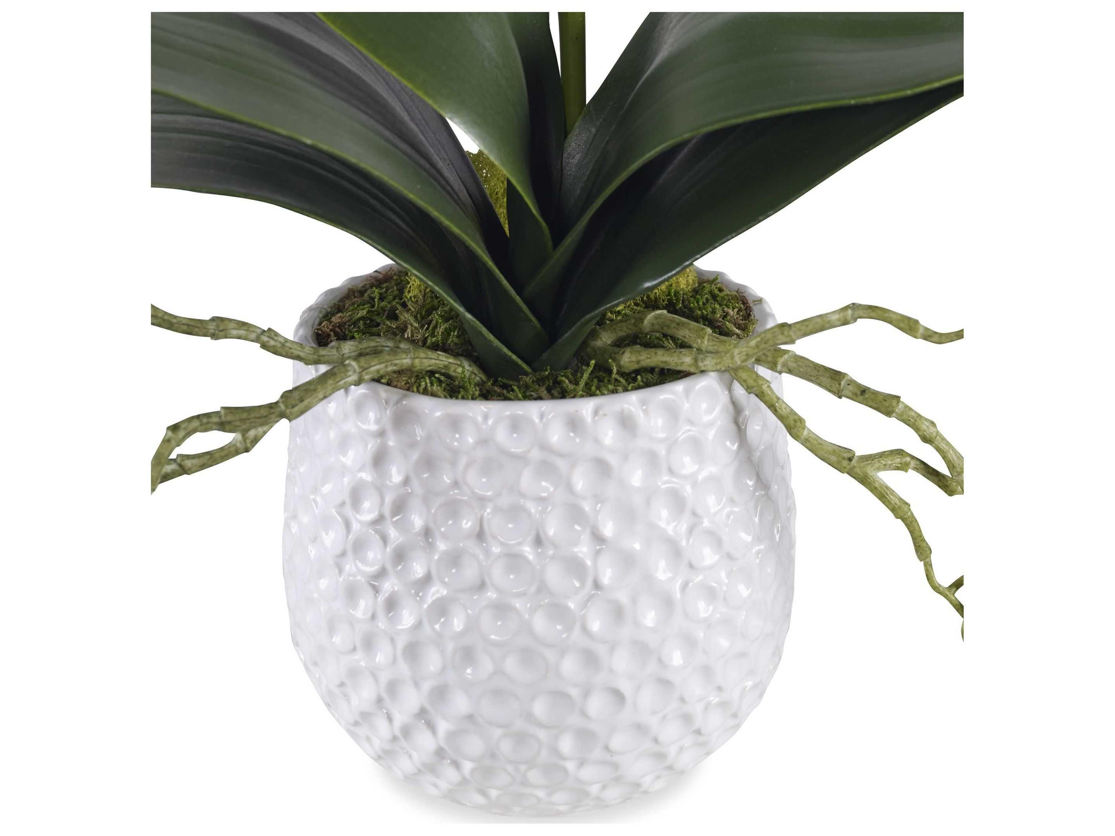 Uttermost Cami White Orchid