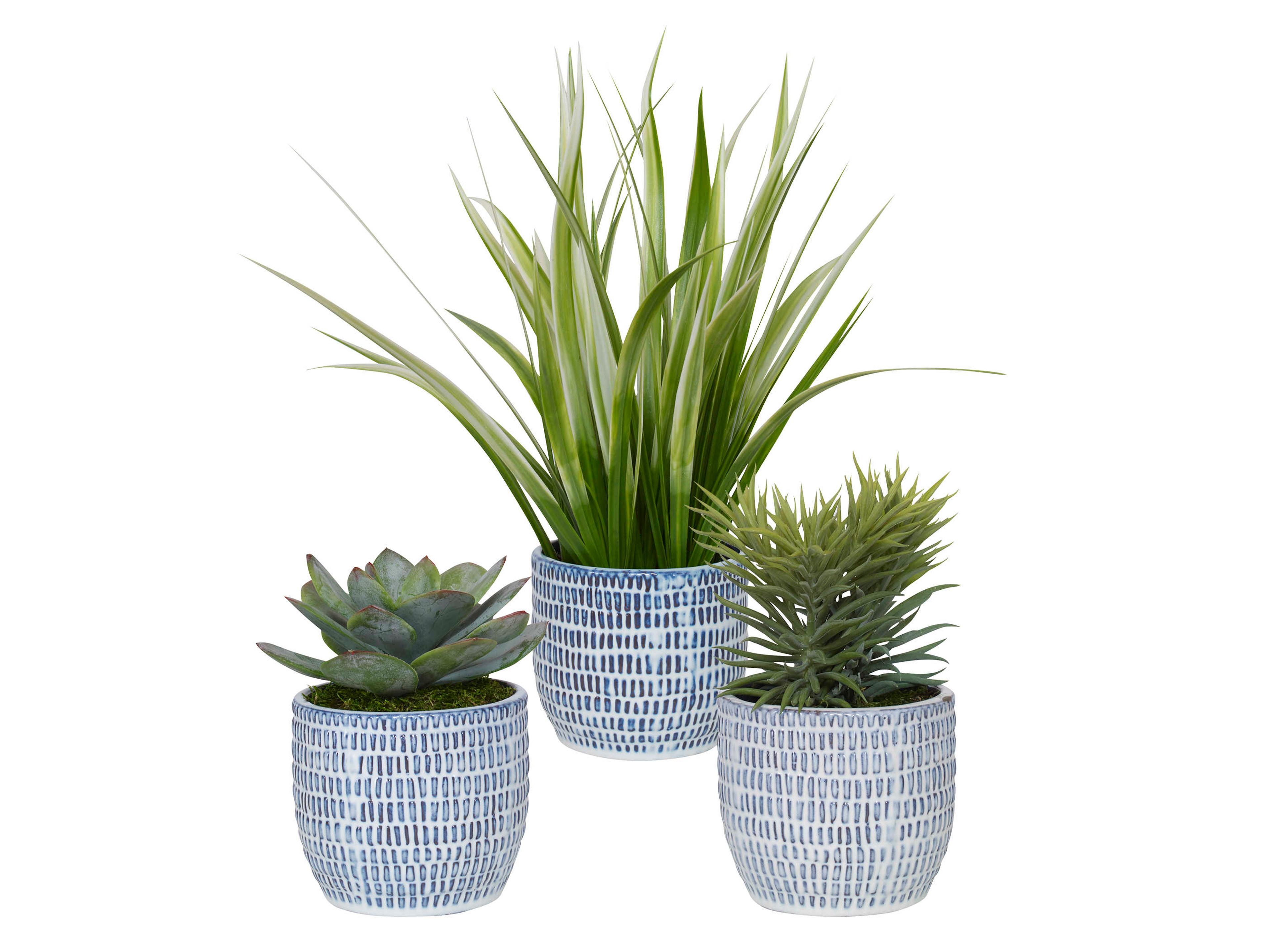 Uttermost Puebla Blue / White Botanical Set of 3