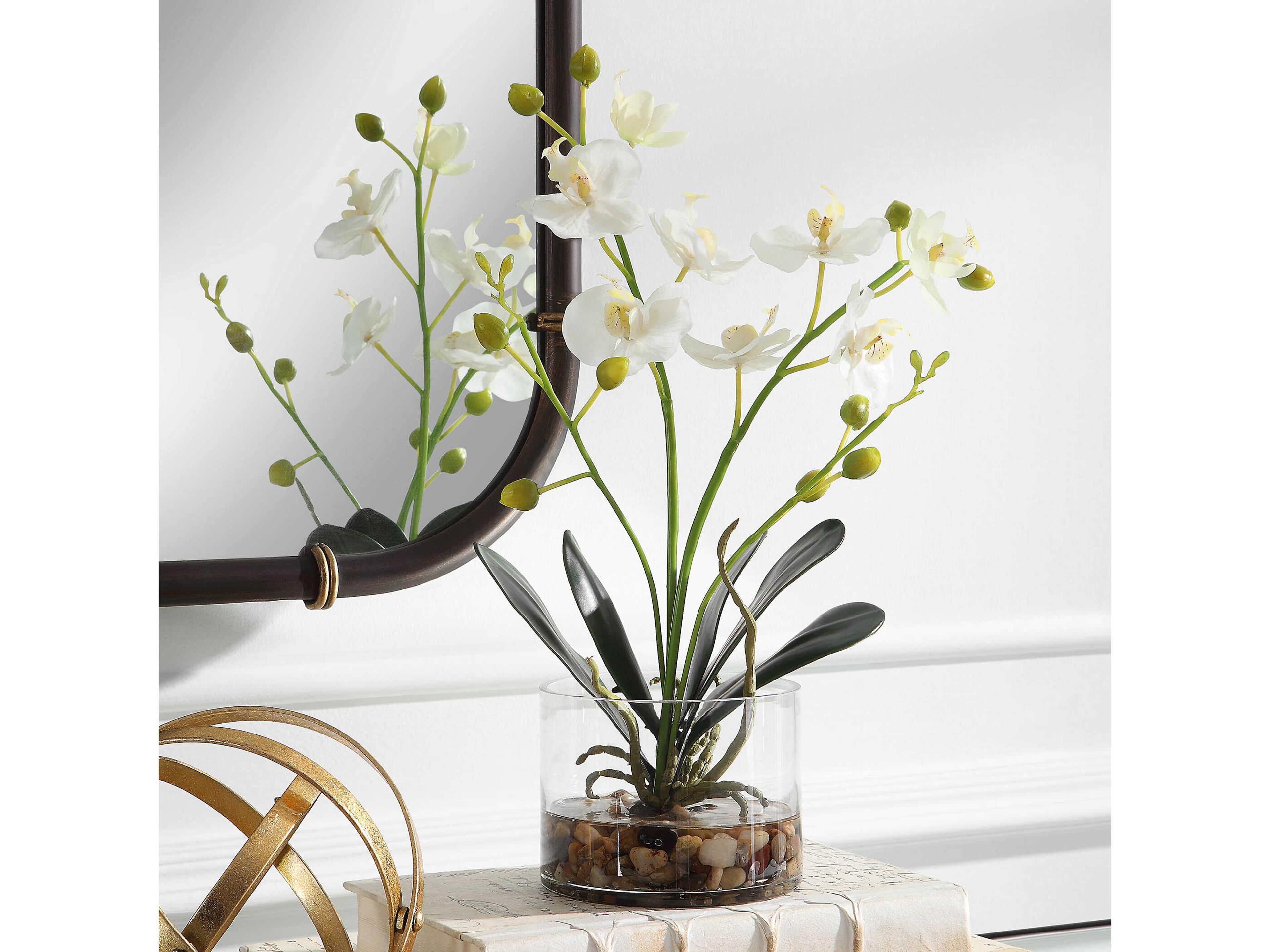 Uttermost Glory Orchid