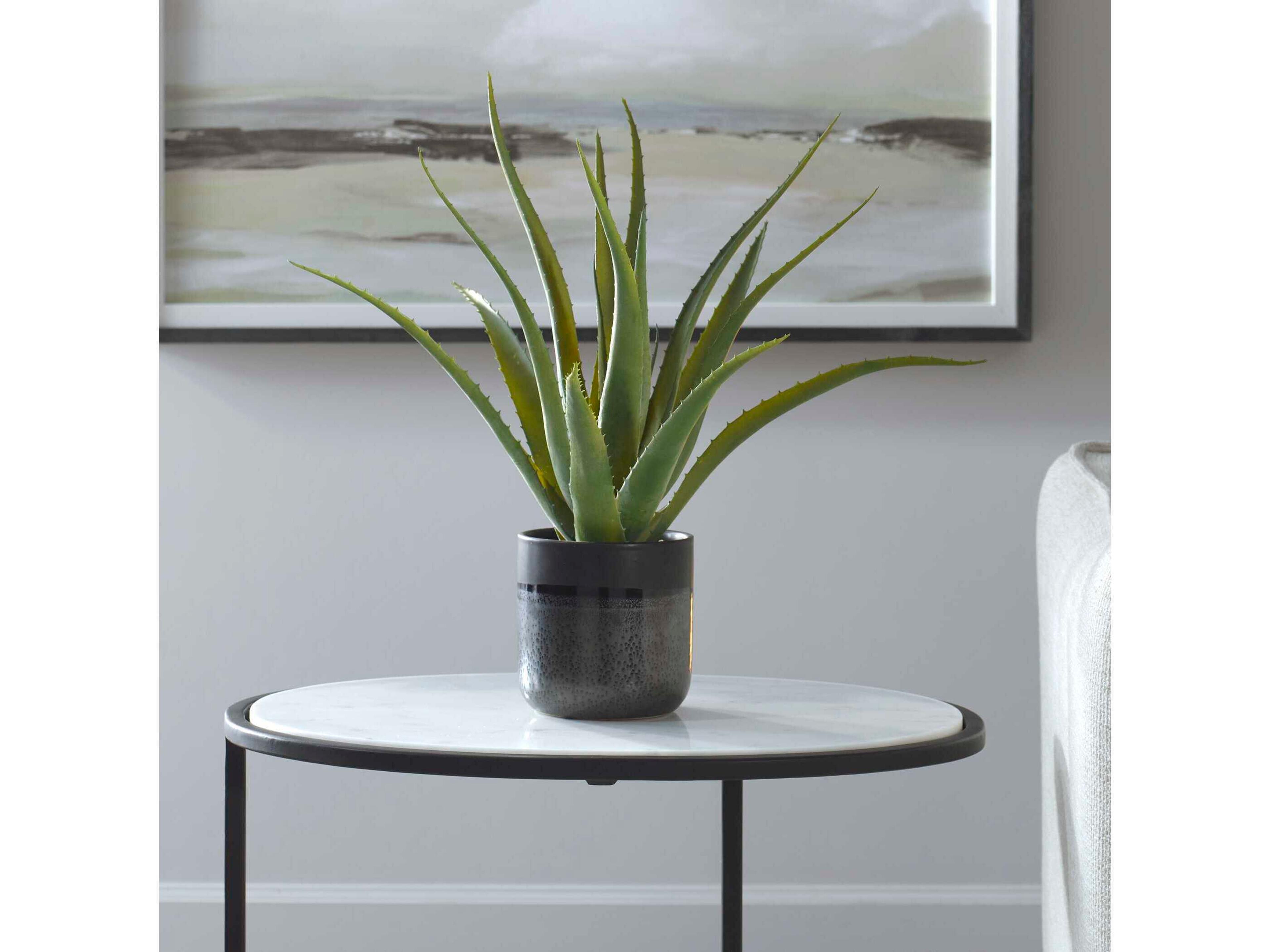 Uttermost Tucson Aloe Planter