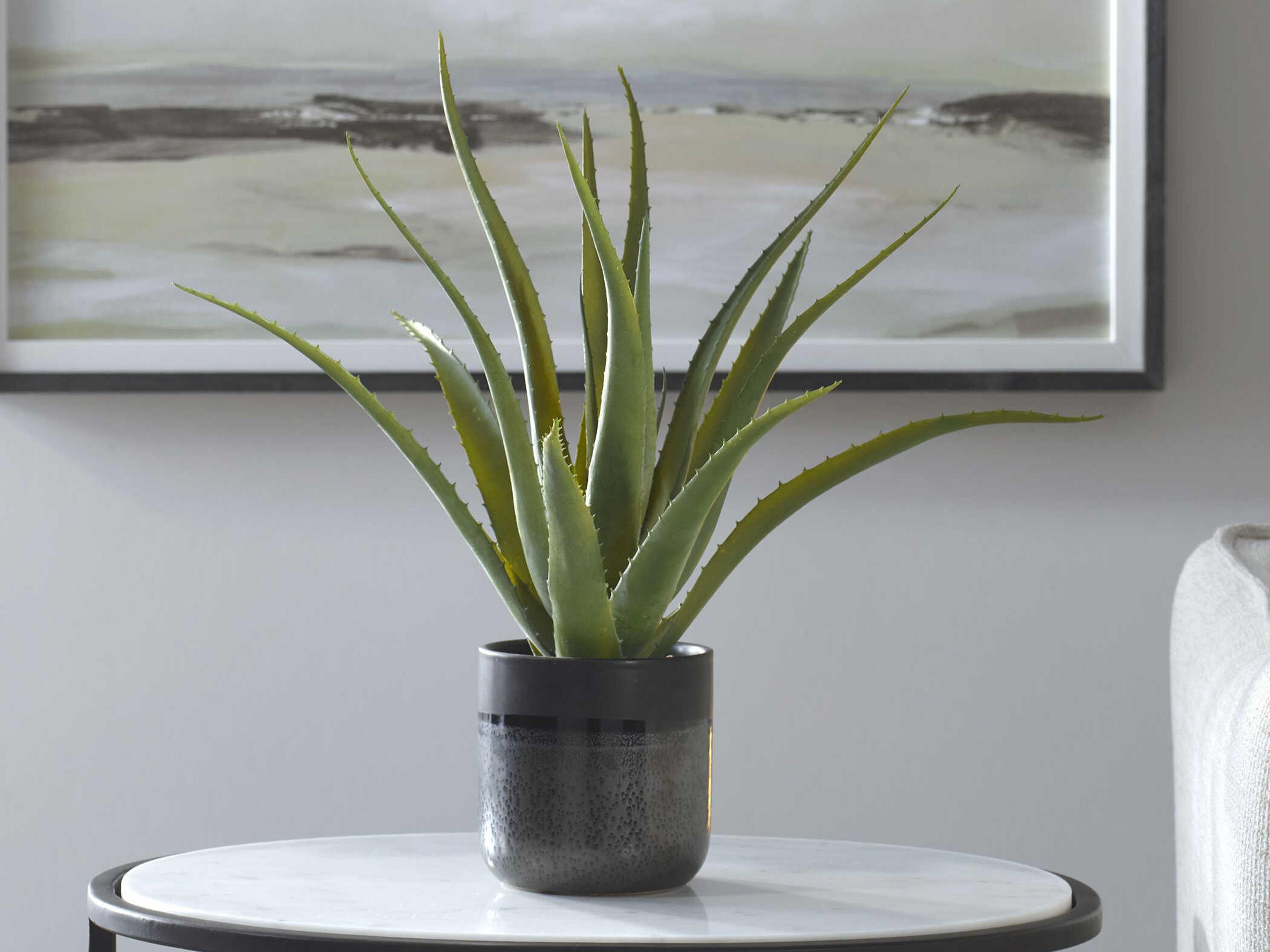 Uttermost Tucson Aloe Planter