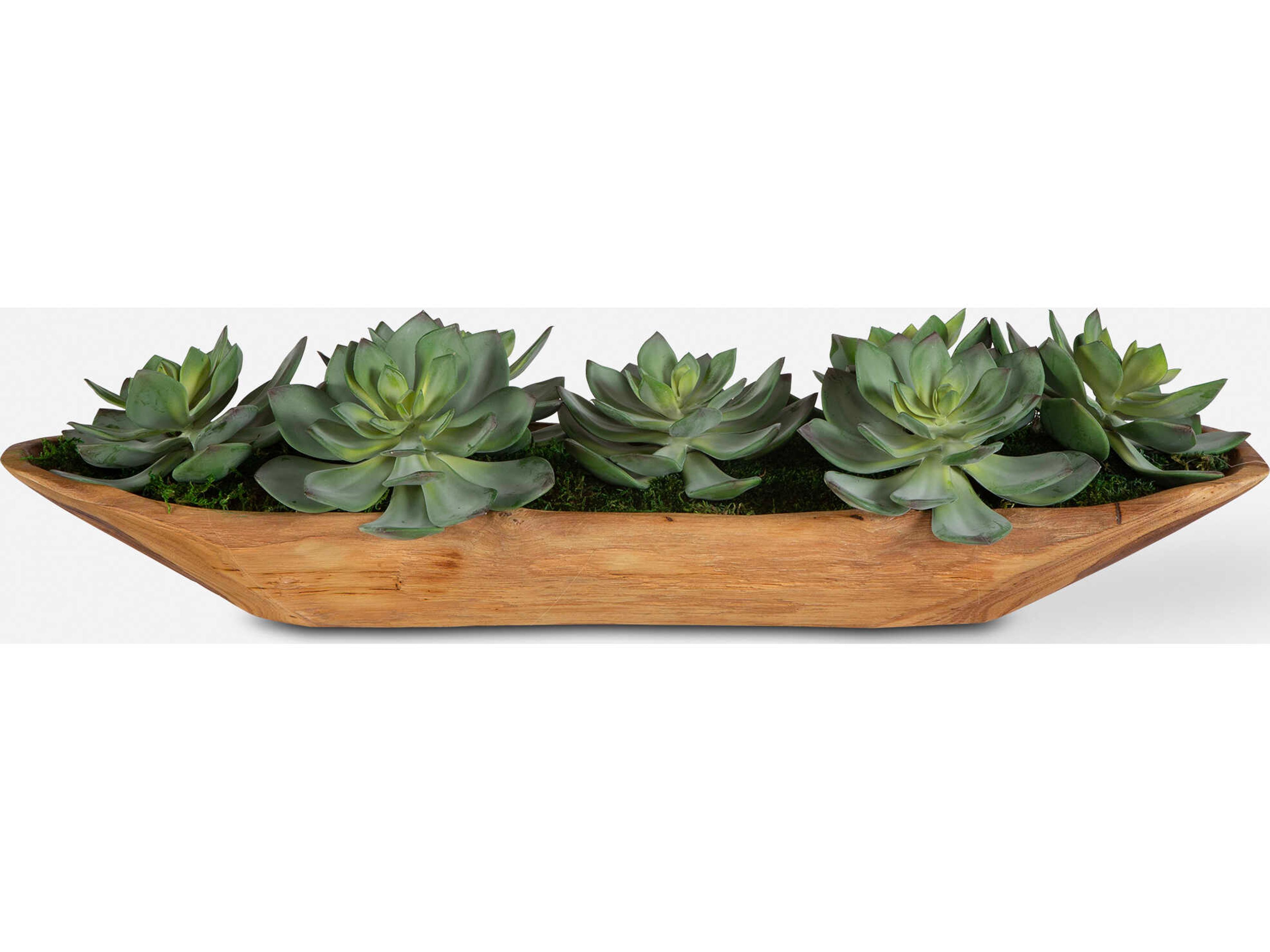 Yuma Succulent Centerpiece