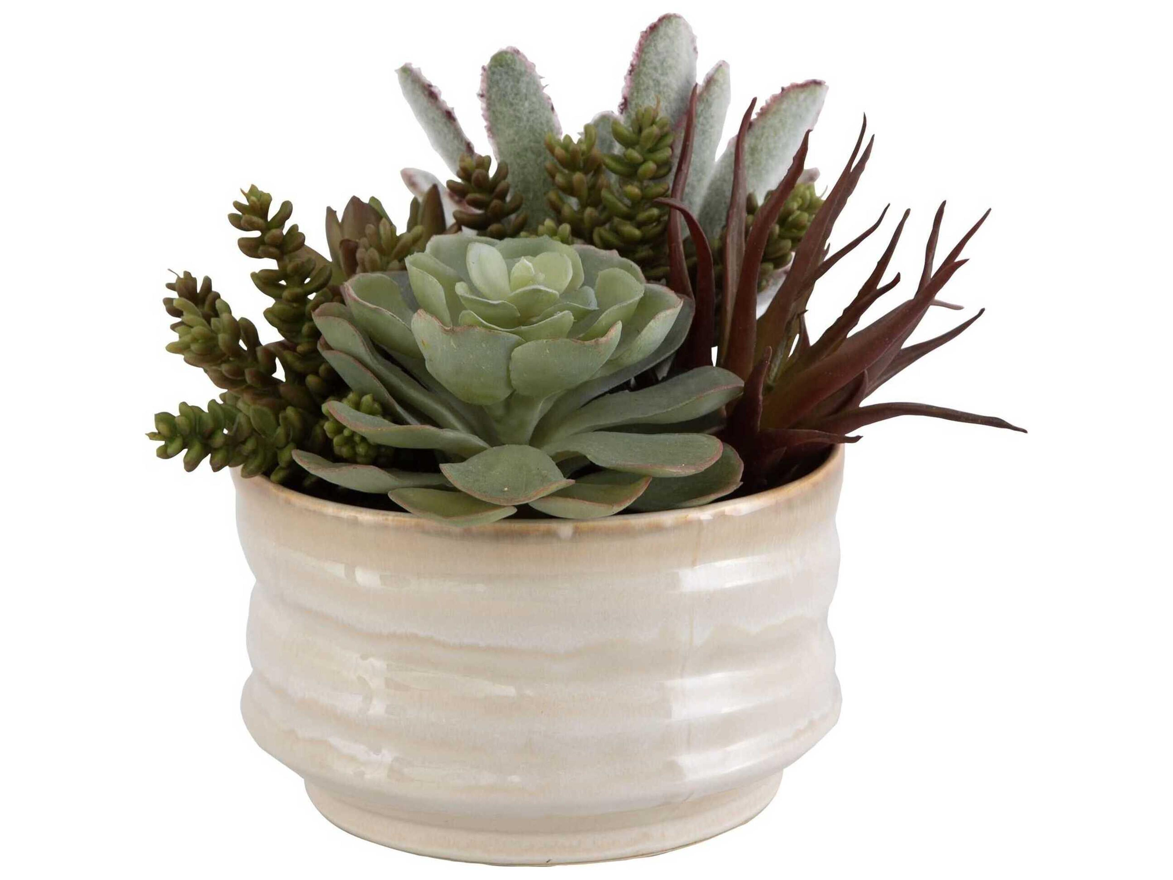 Uttermost Mesa Succulent Accent