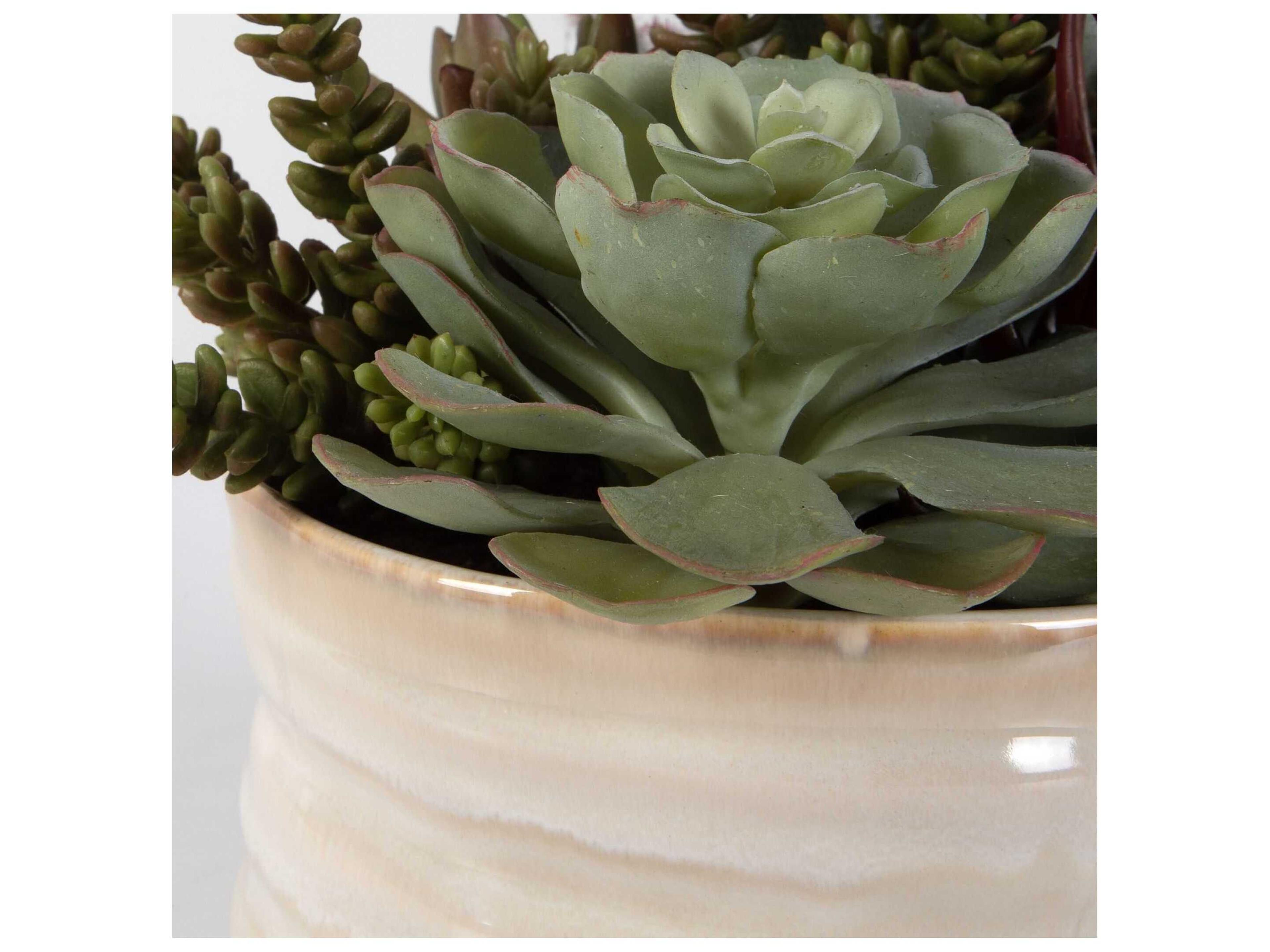 Uttermost Mesa Succulent Accent