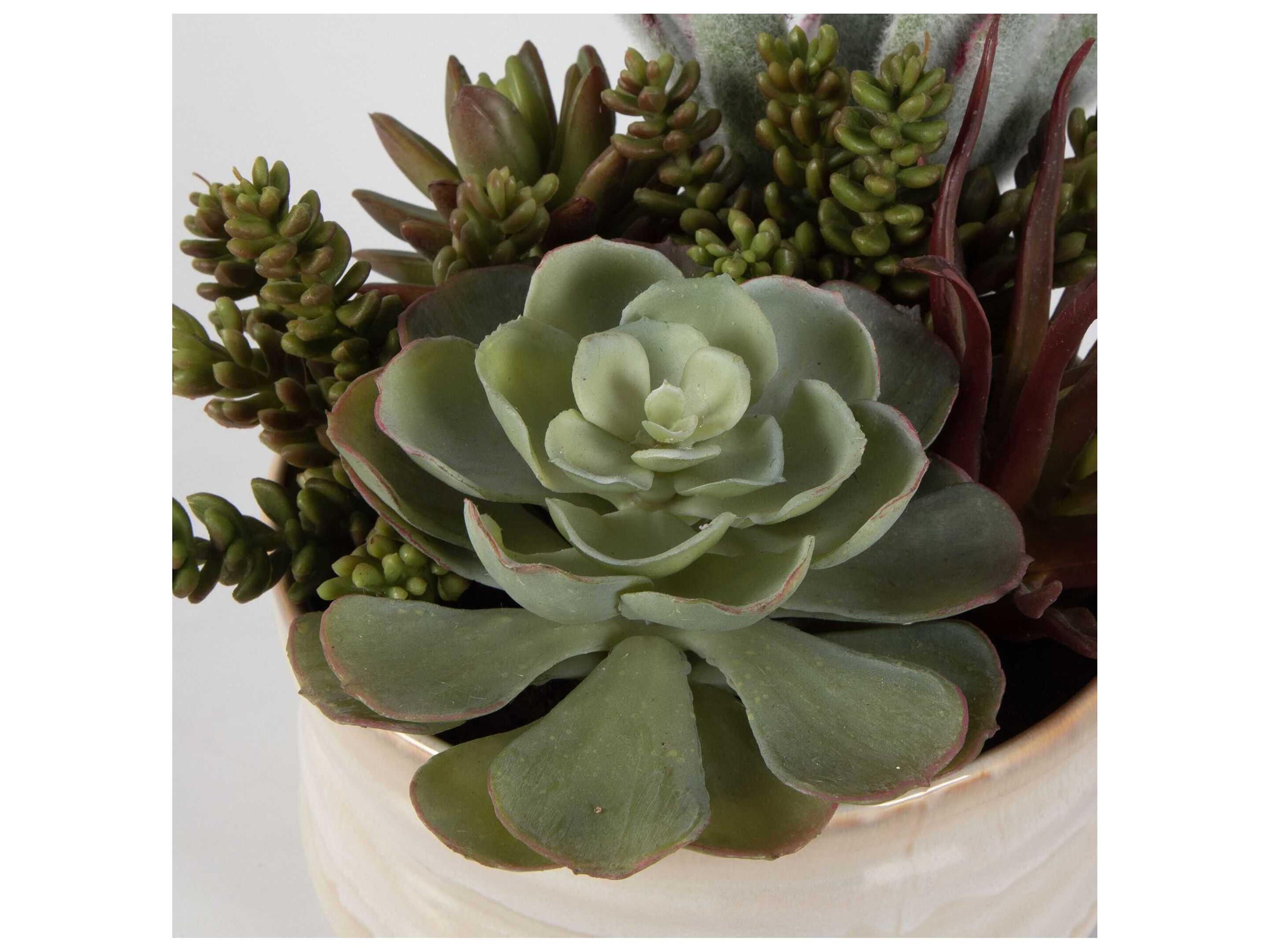 Uttermost Mesa Succulent Accent