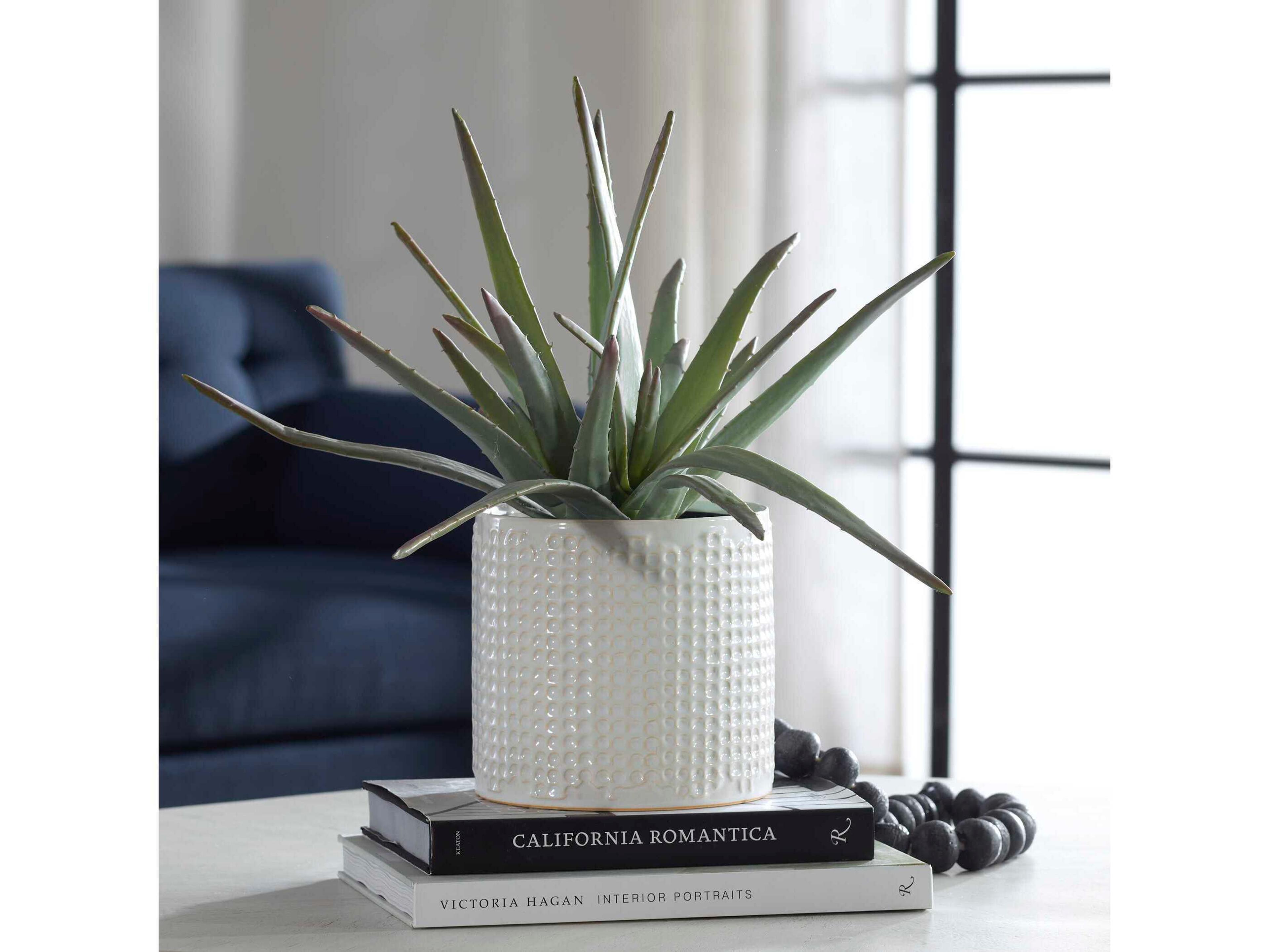 Uttermost Taos Aloe Centerpiece