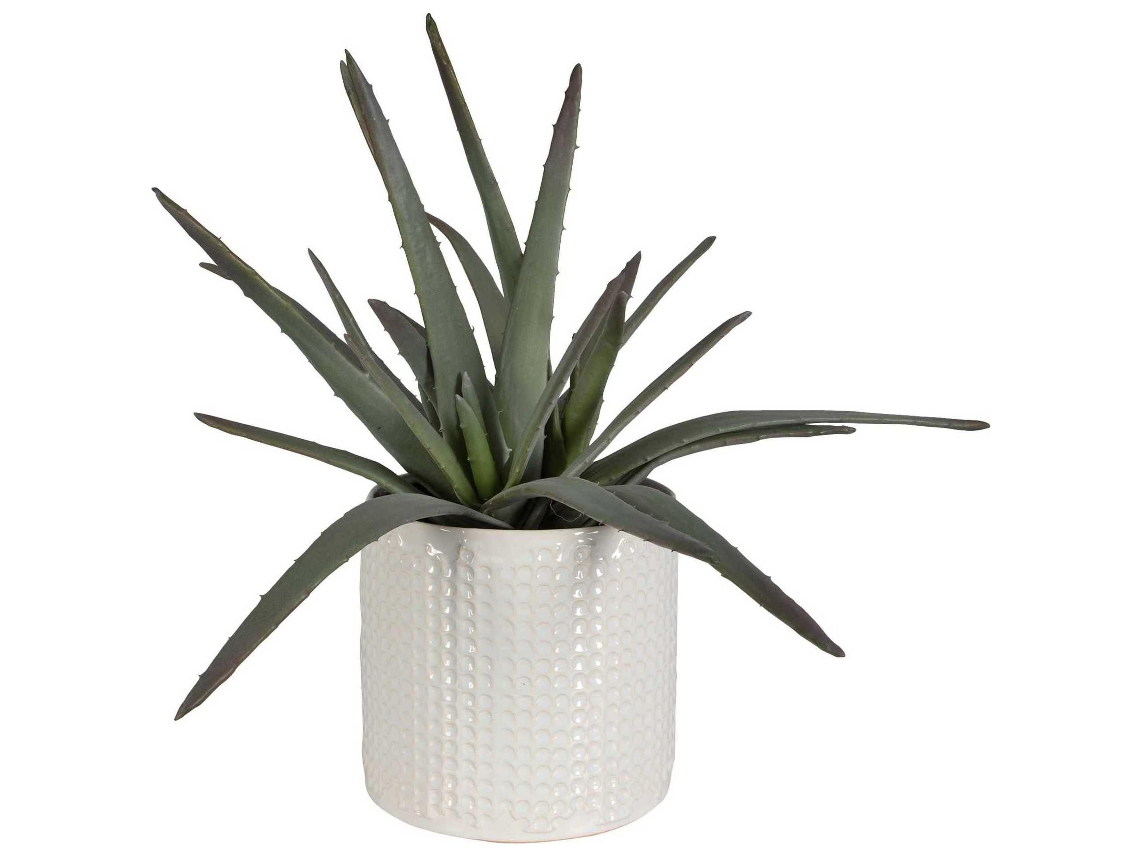 Uttermost Taos Aloe Centerpiece