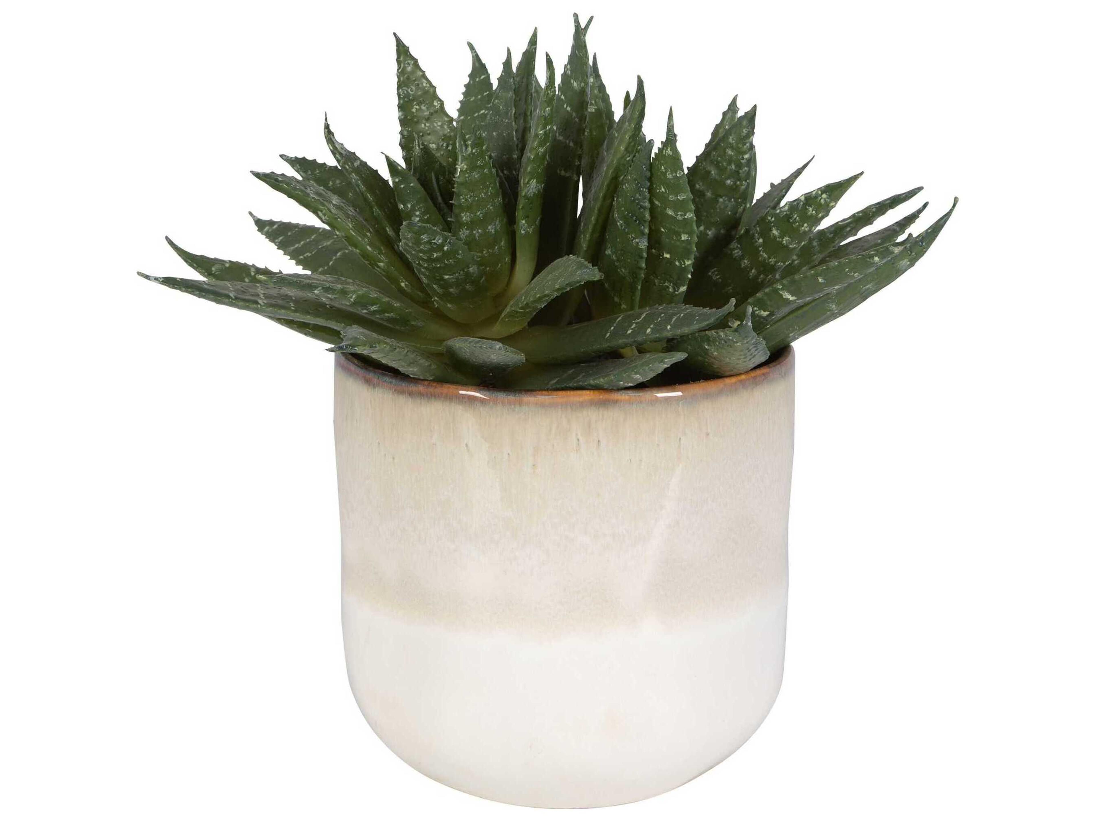 Uttermost Doha Succulent Accent