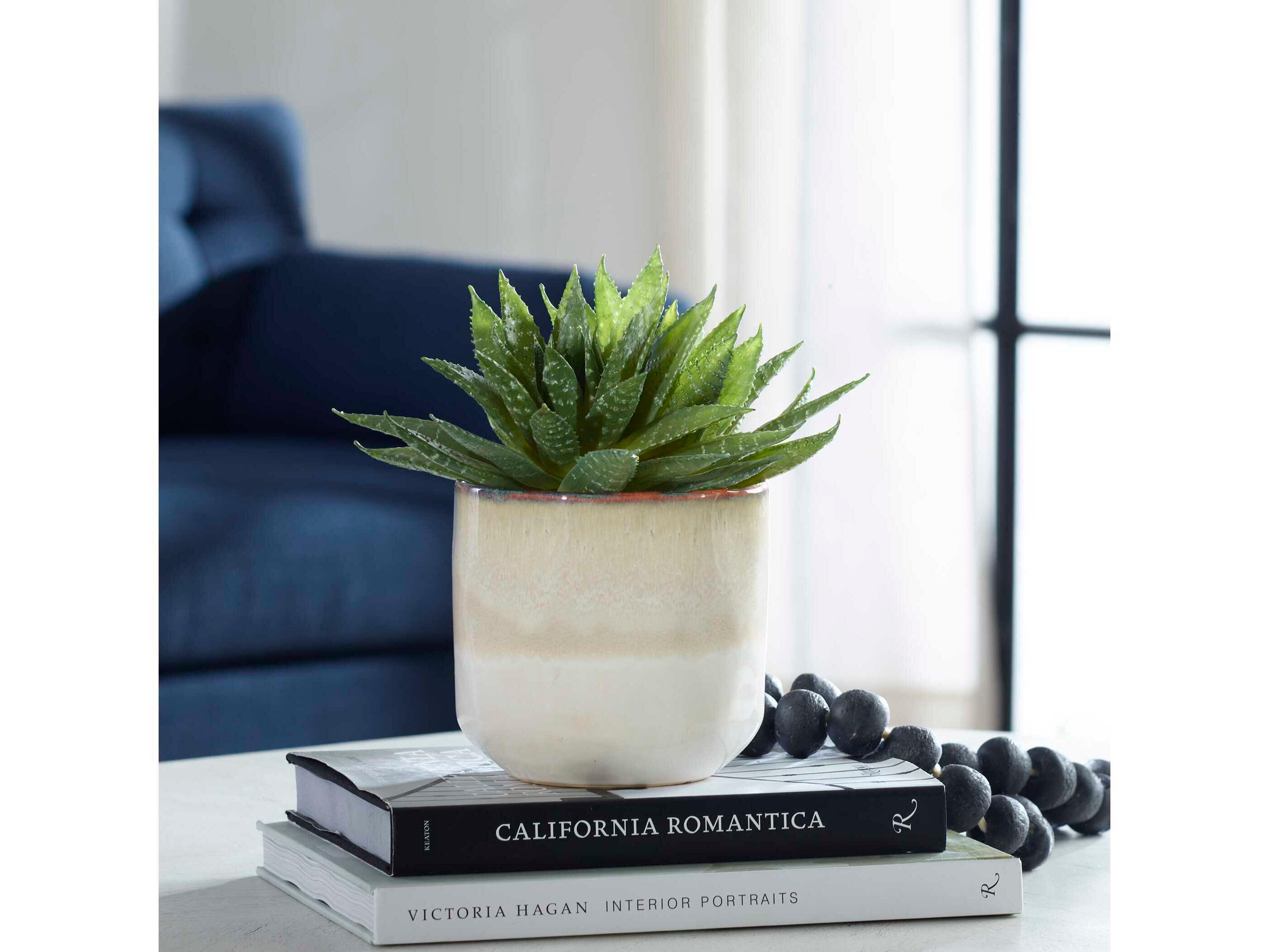 Uttermost Doha Succulent Accent