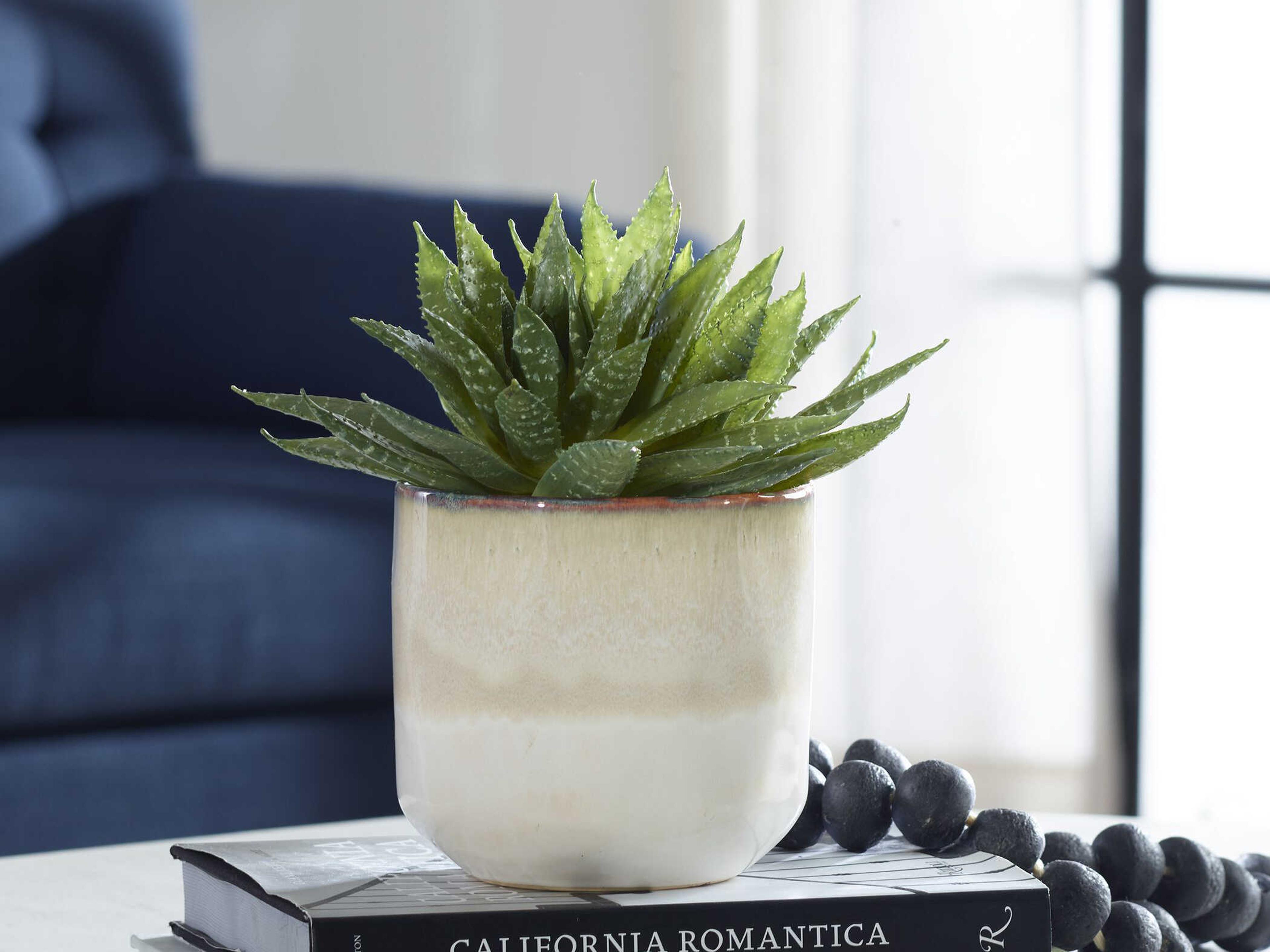 Uttermost Doha Succulent Accent