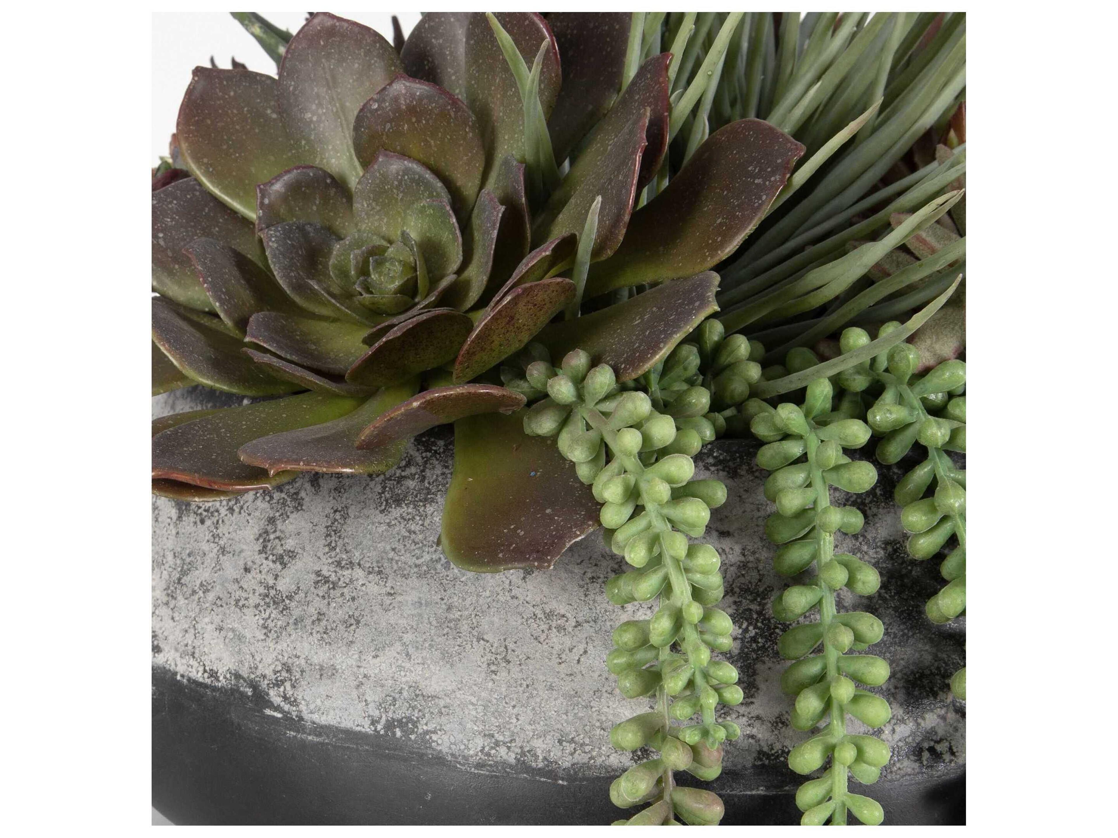 Uttermost Yuma Succulent Centerpiece