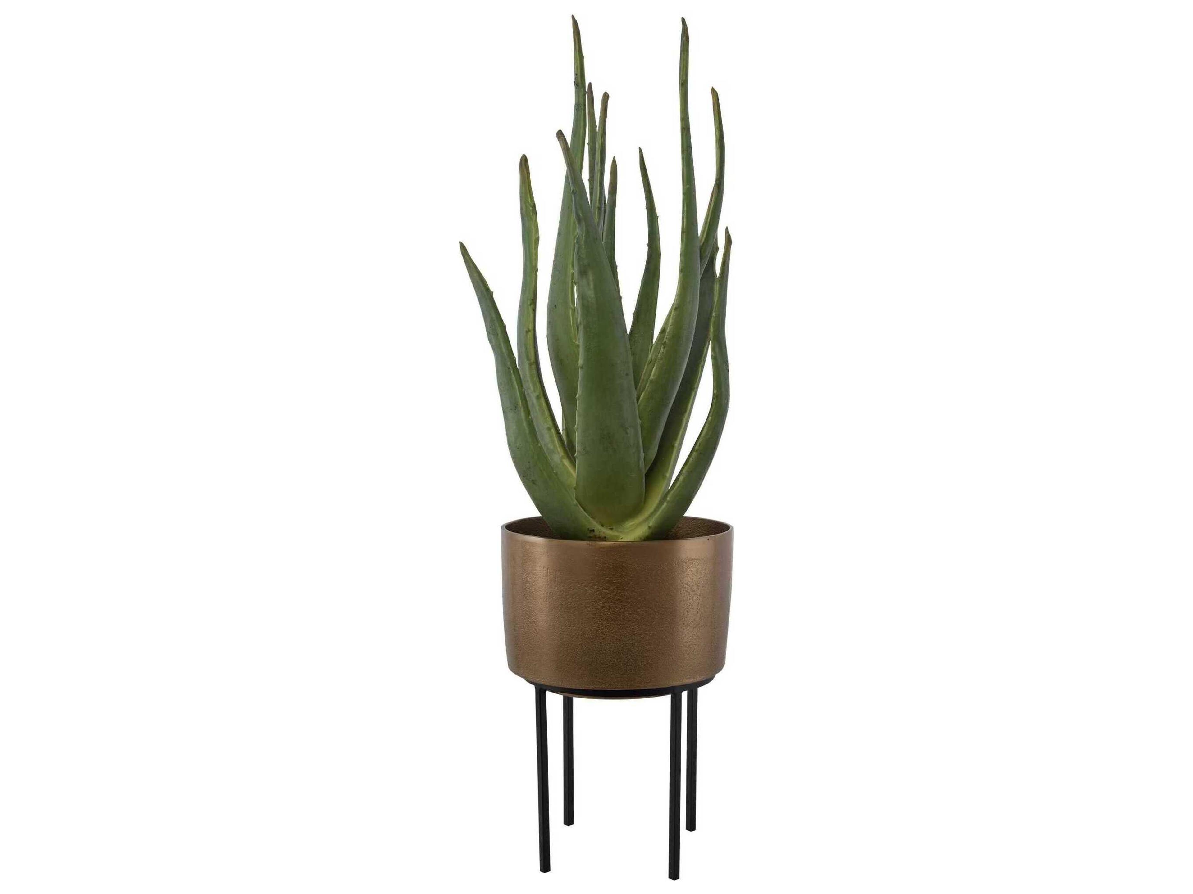 Uttermost Arabia Aloe Planter