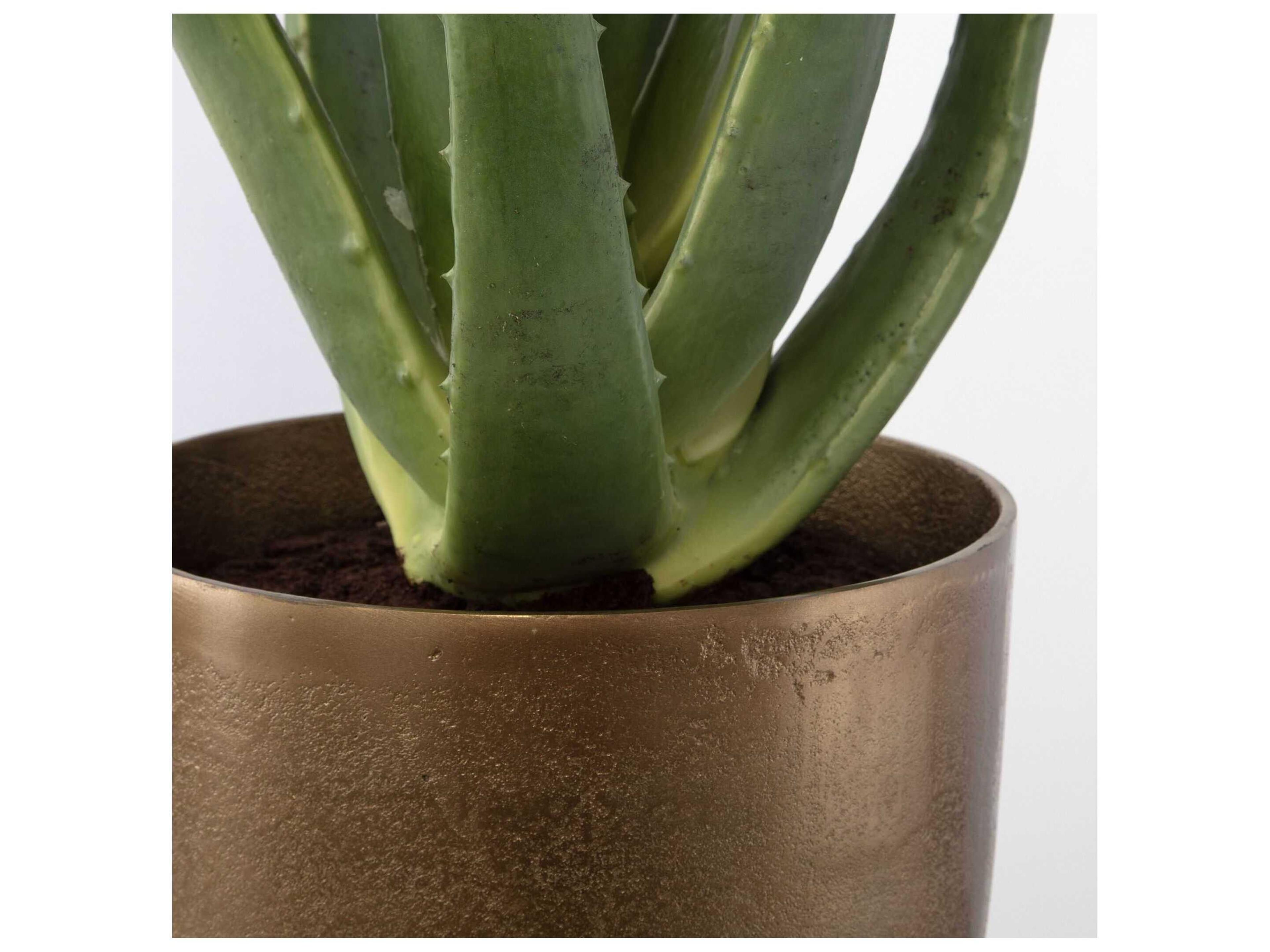 Uttermost Arabia Aloe Planter