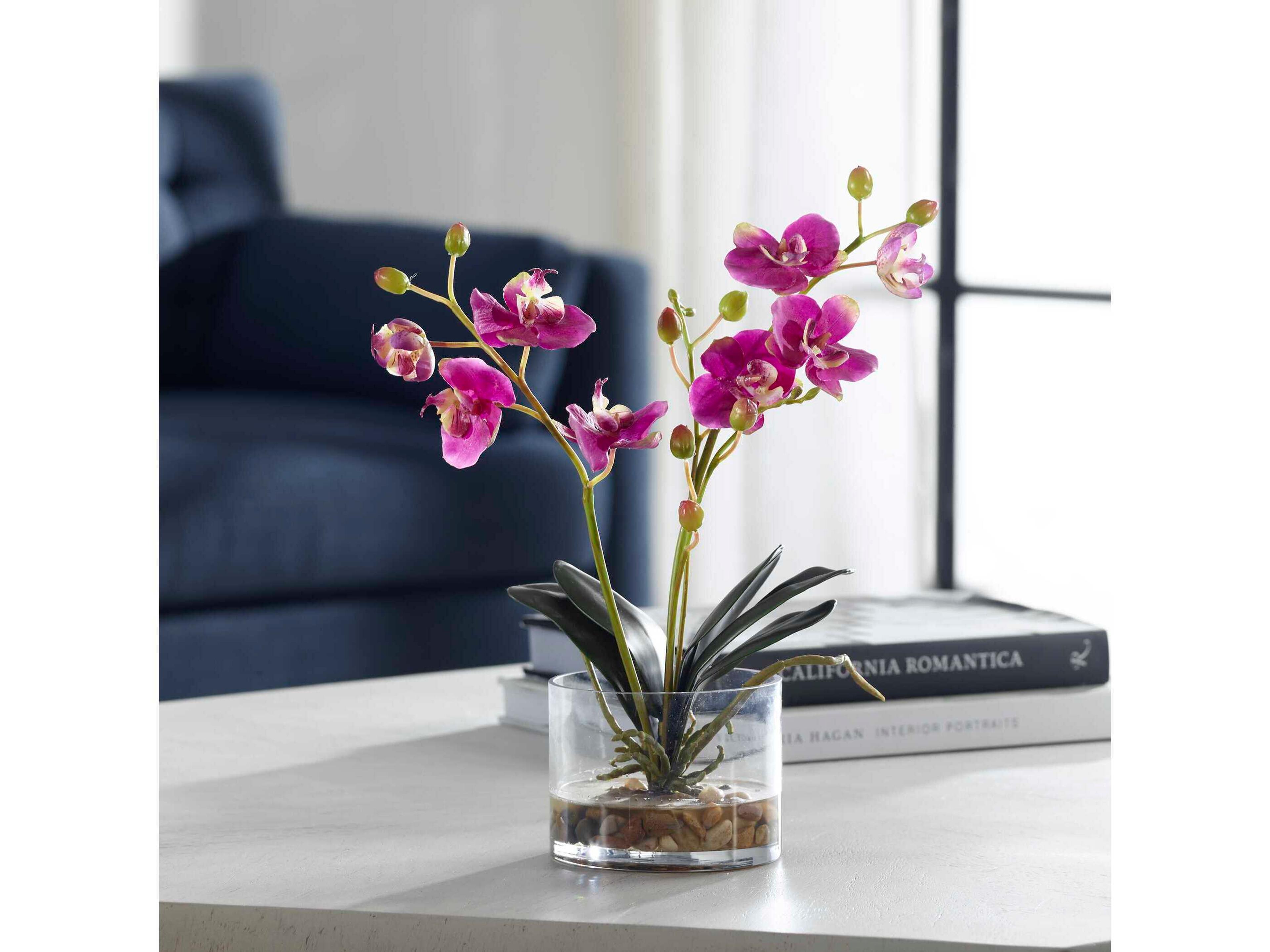 Uttermost Glory Fuchsia Orchid