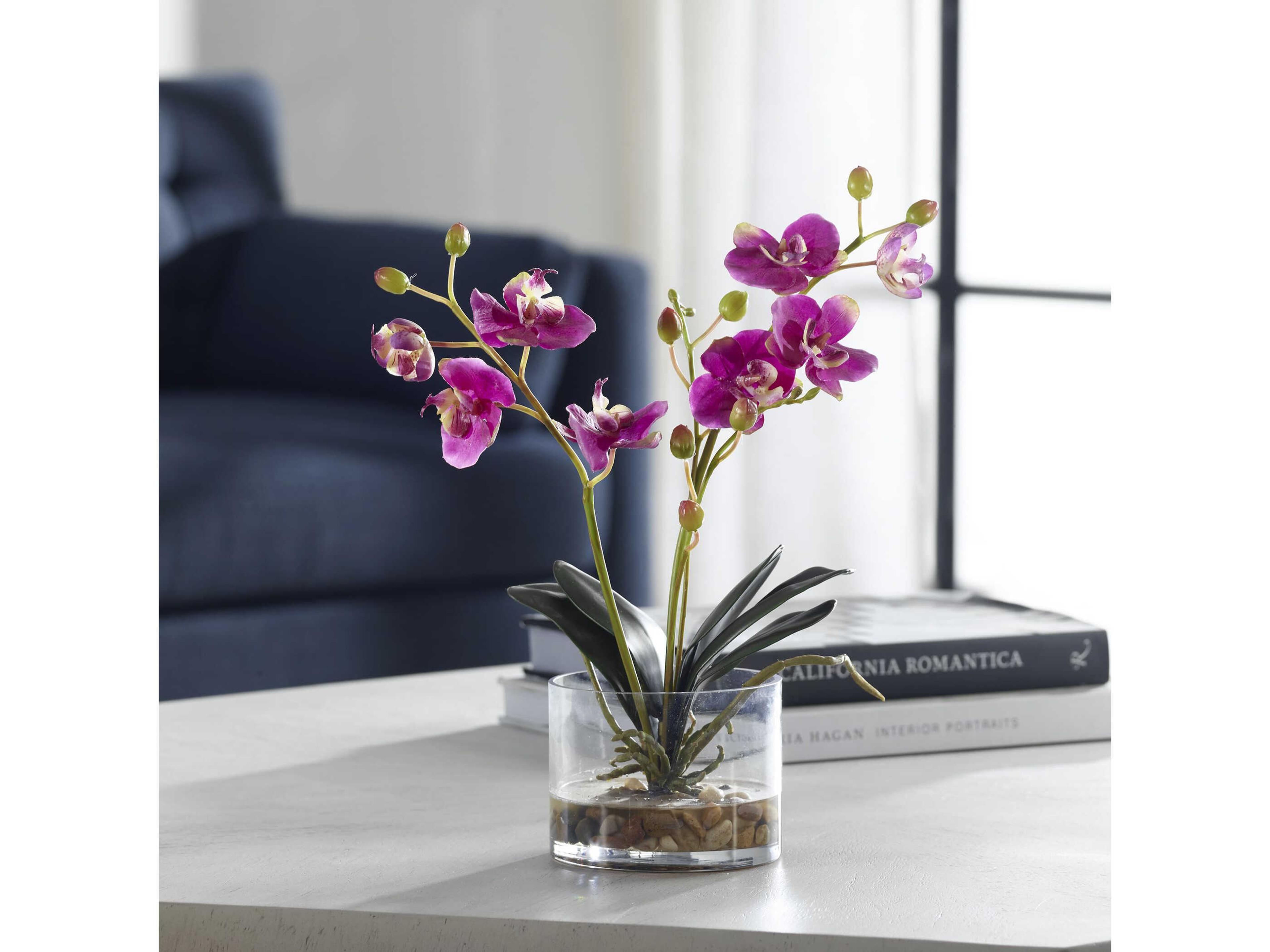 Uttermost Glory Fuchsia Orchid